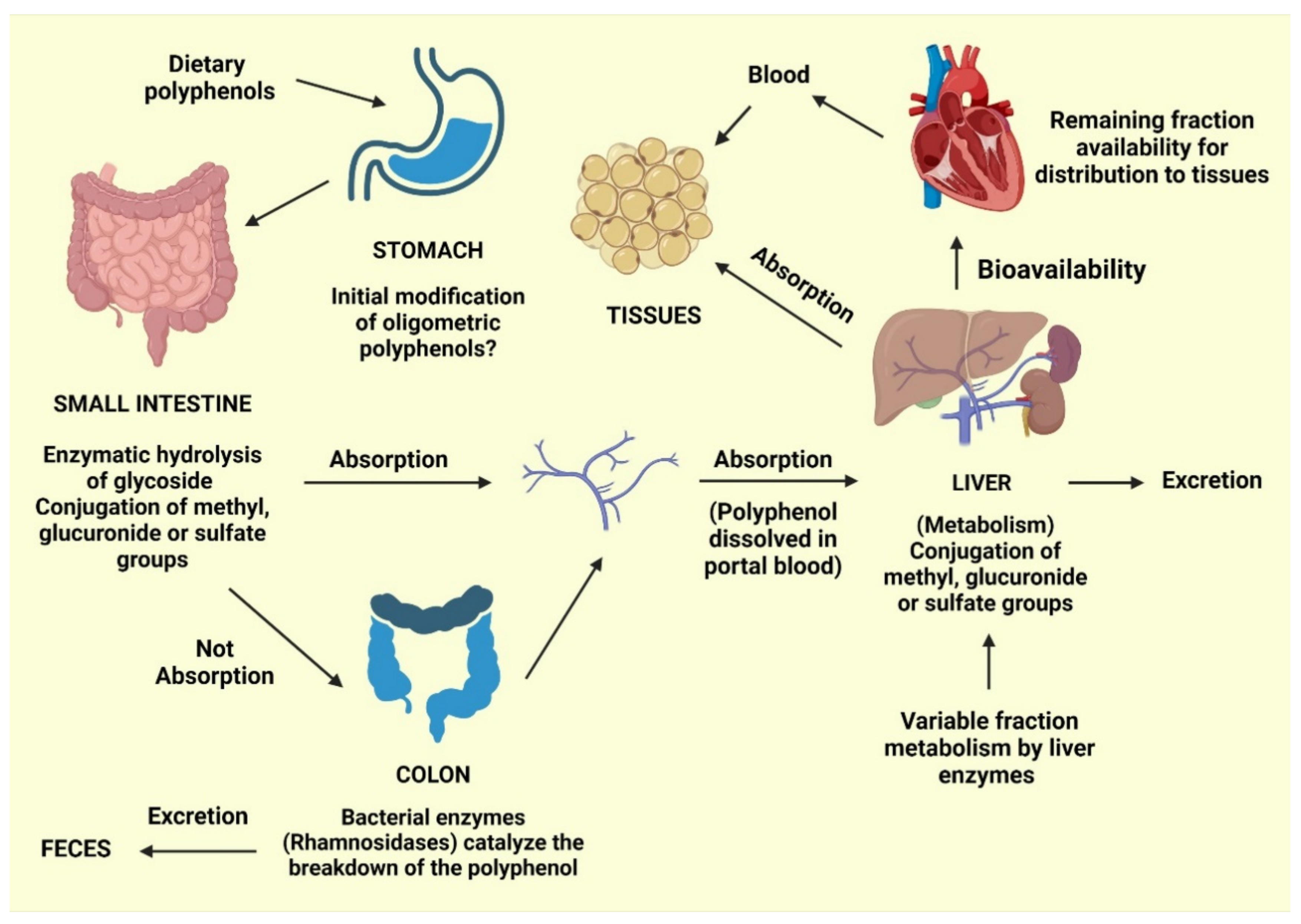Molecules 27 00233 g002