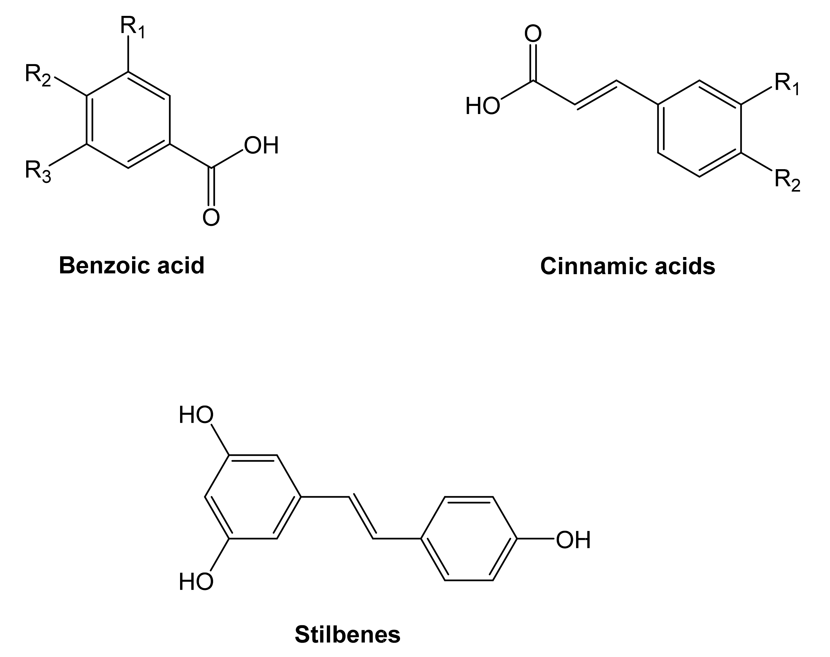 Molecules 27 00233 g004