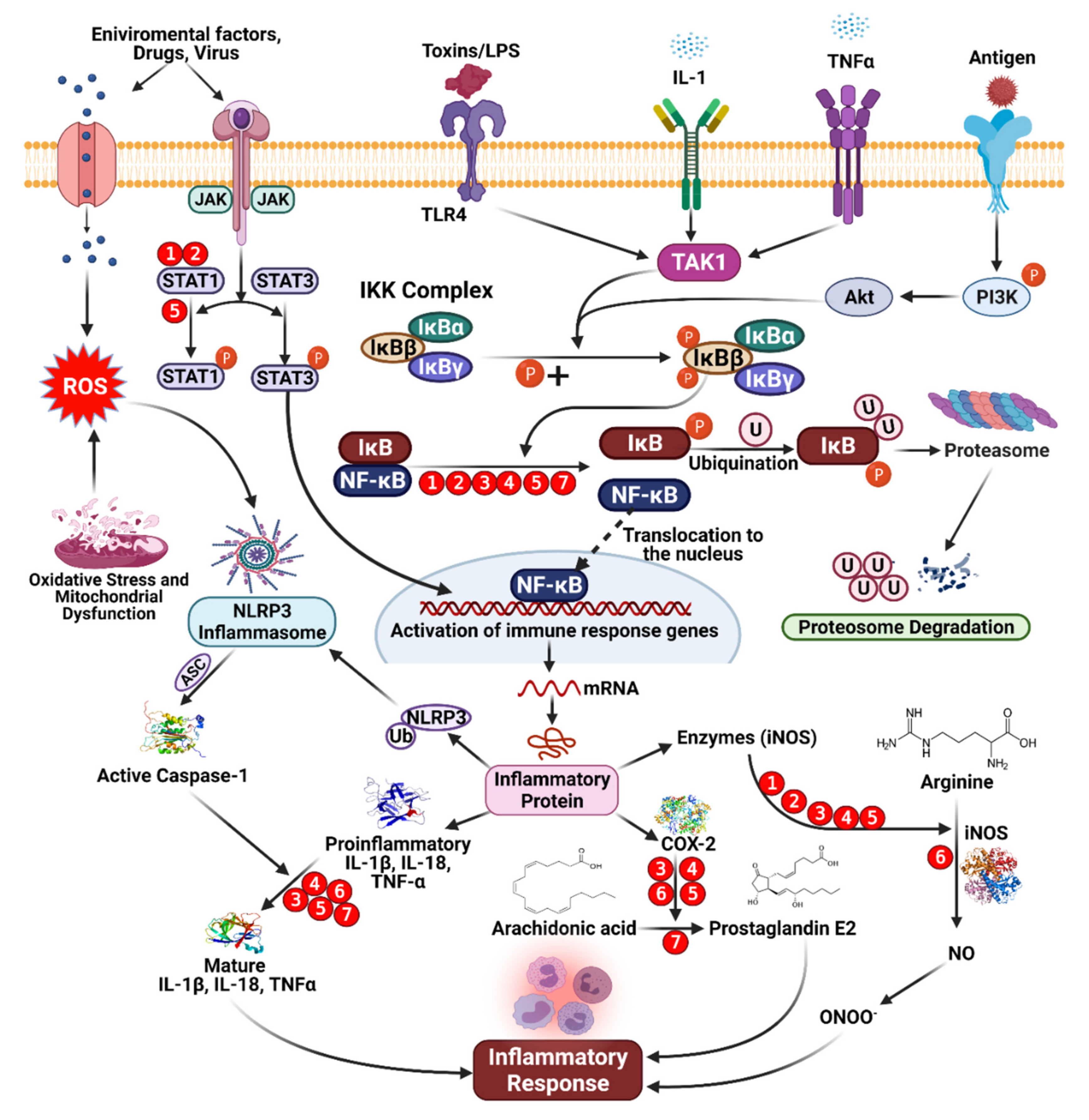 Molecules 27 00233 g005