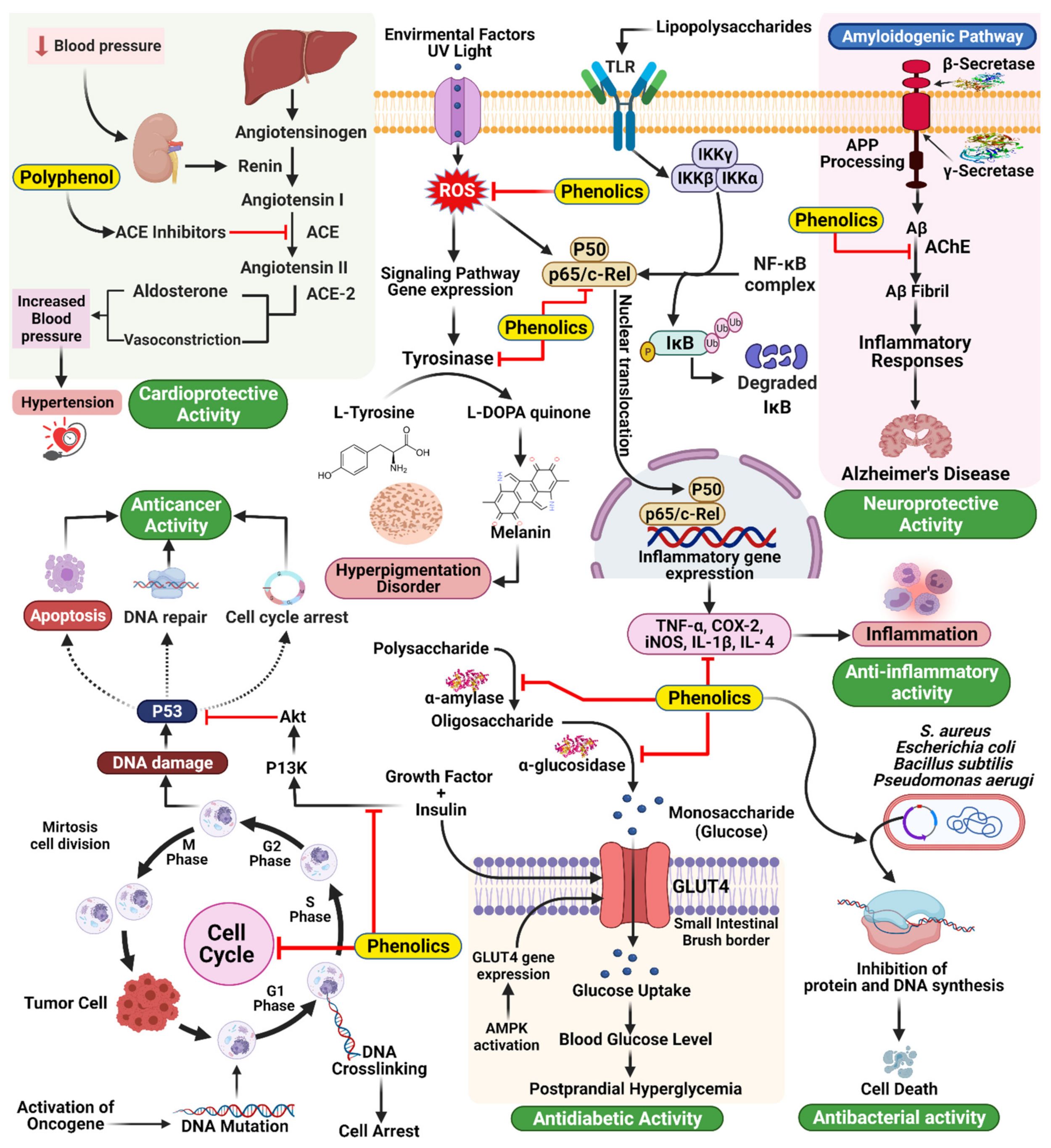 Molecules 27 00233 g007