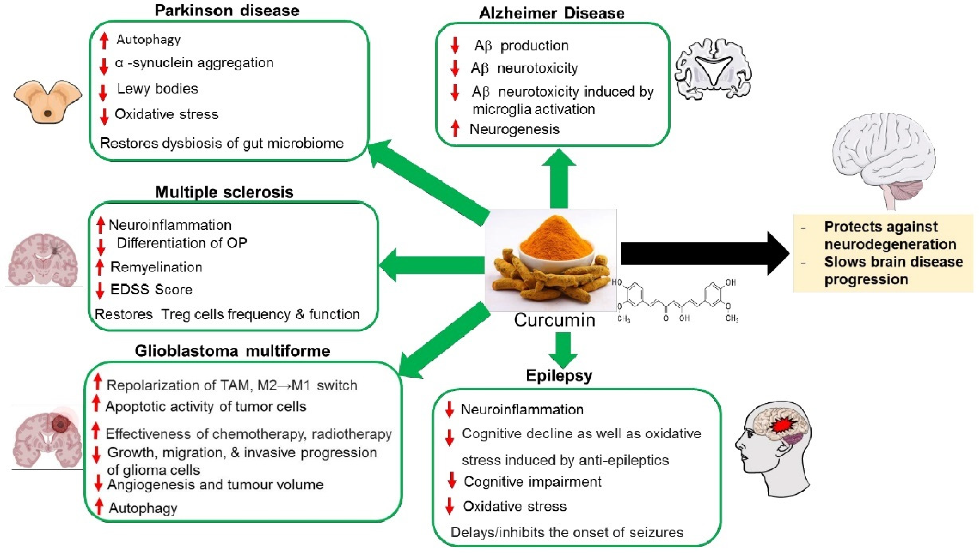 Molecules 27 00236 g001