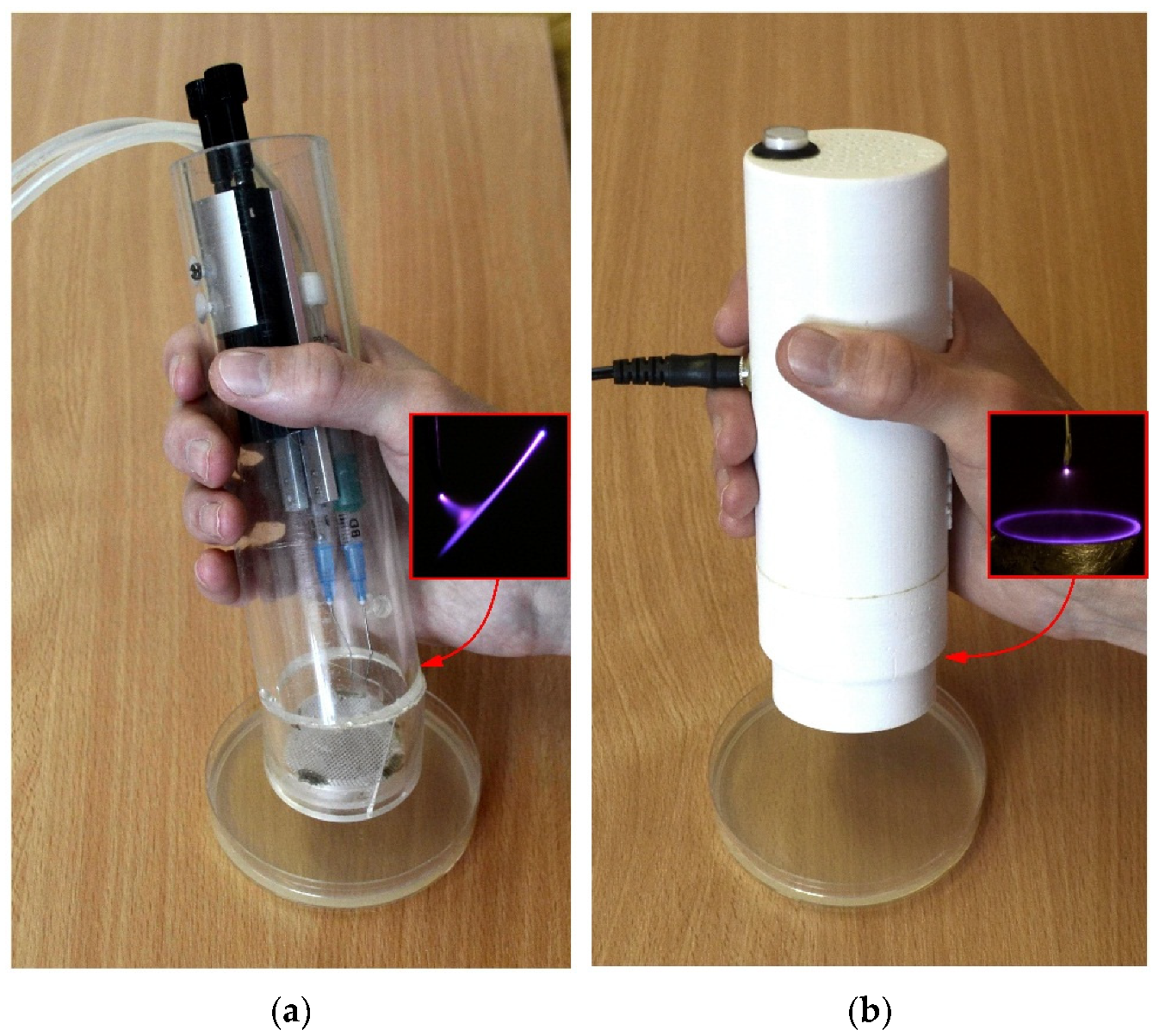 Molecules 27 00238 g001