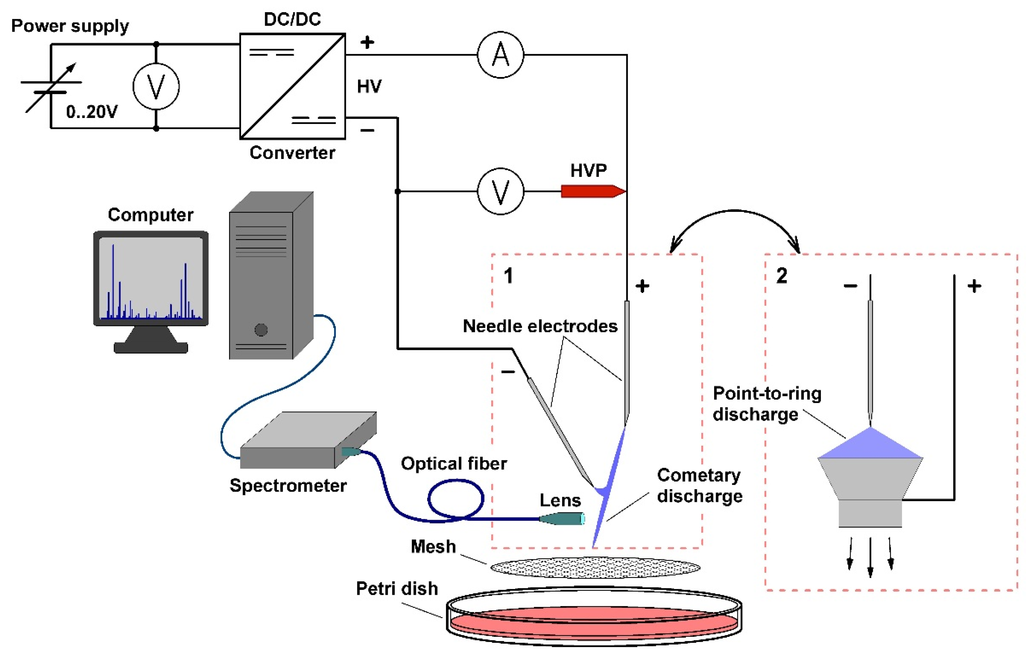 Molecules 27 00238 g007