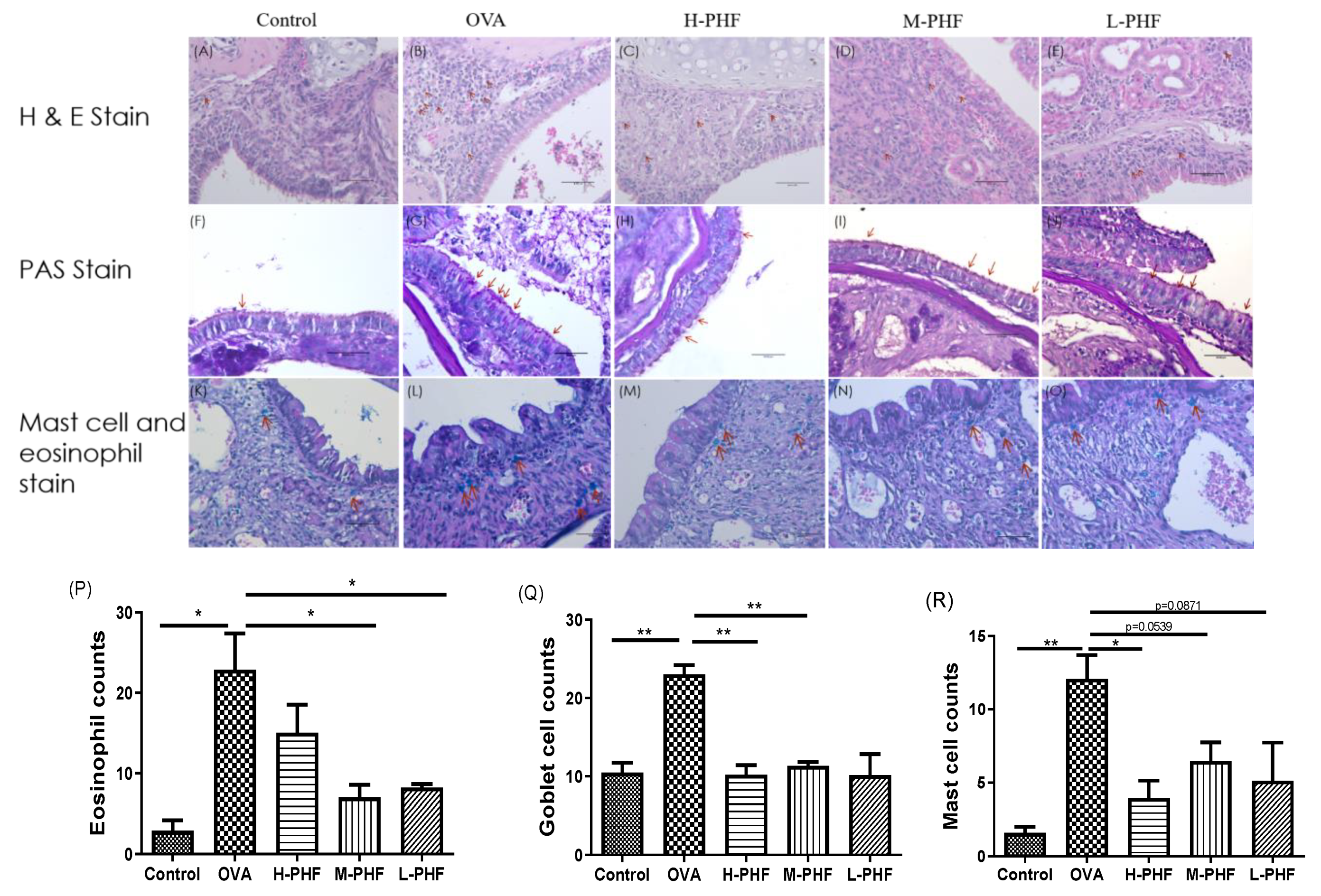 Molecules 27 00239 g007