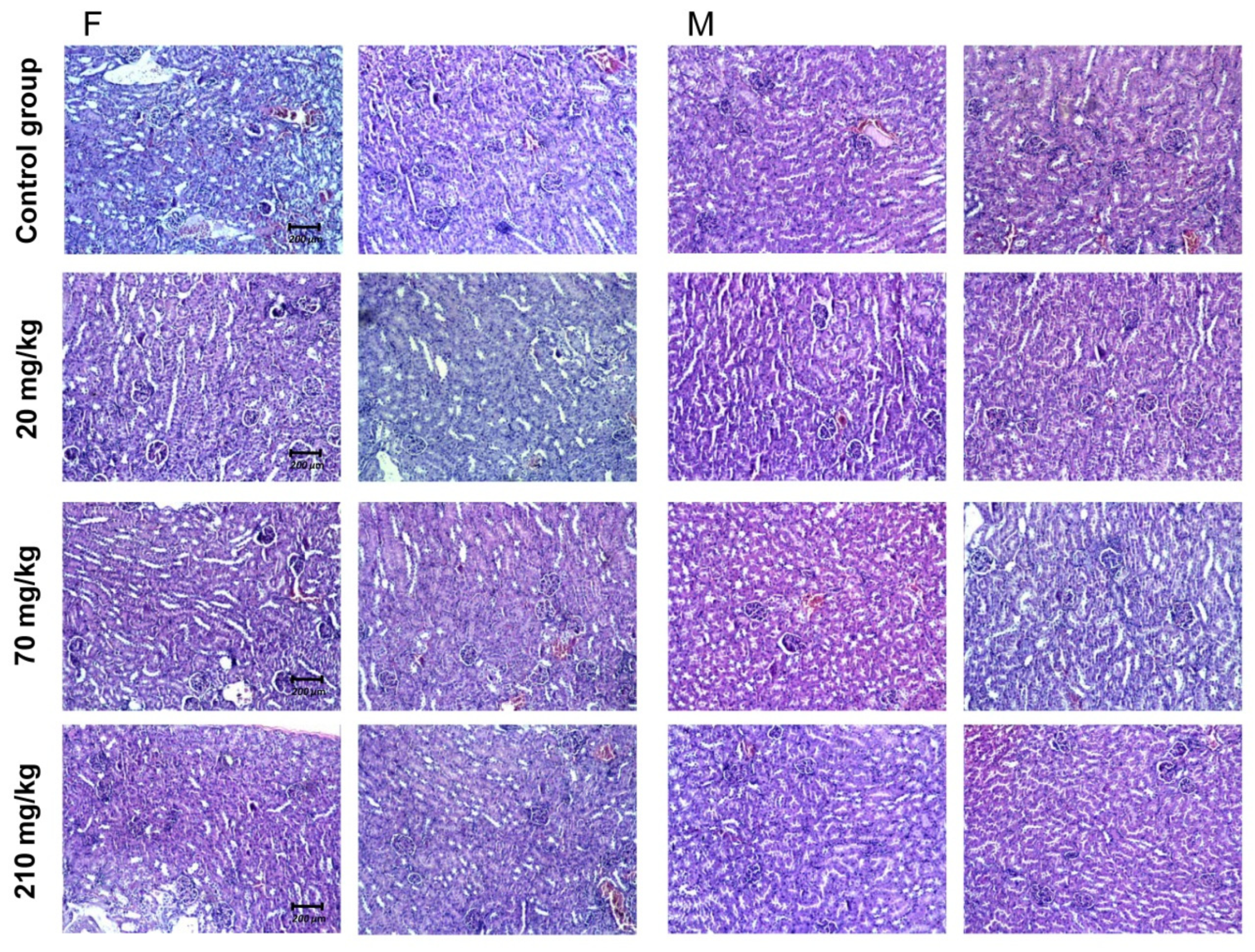 Molecules 27 00245 g006