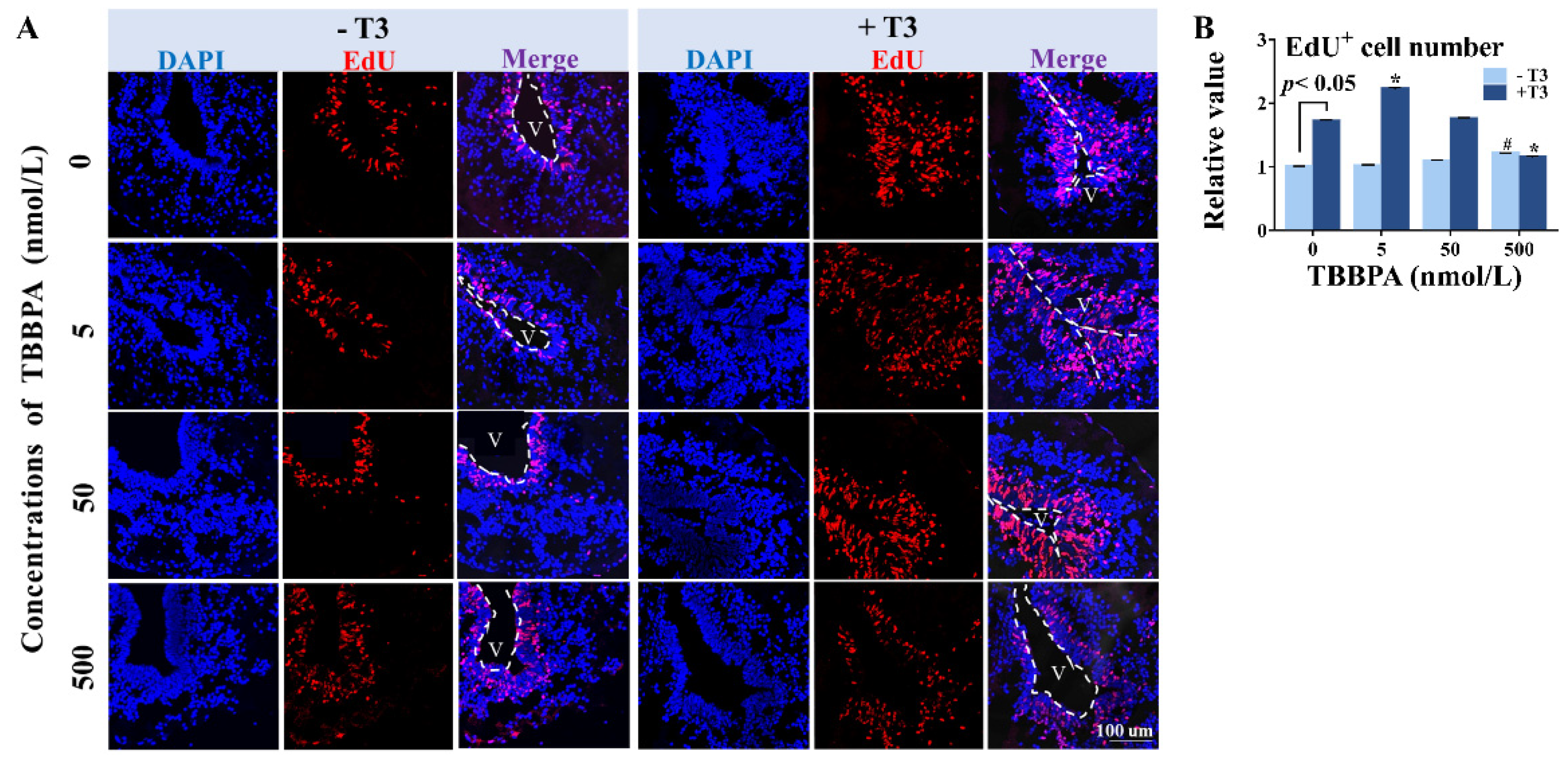 Molecules 27 00249 g004