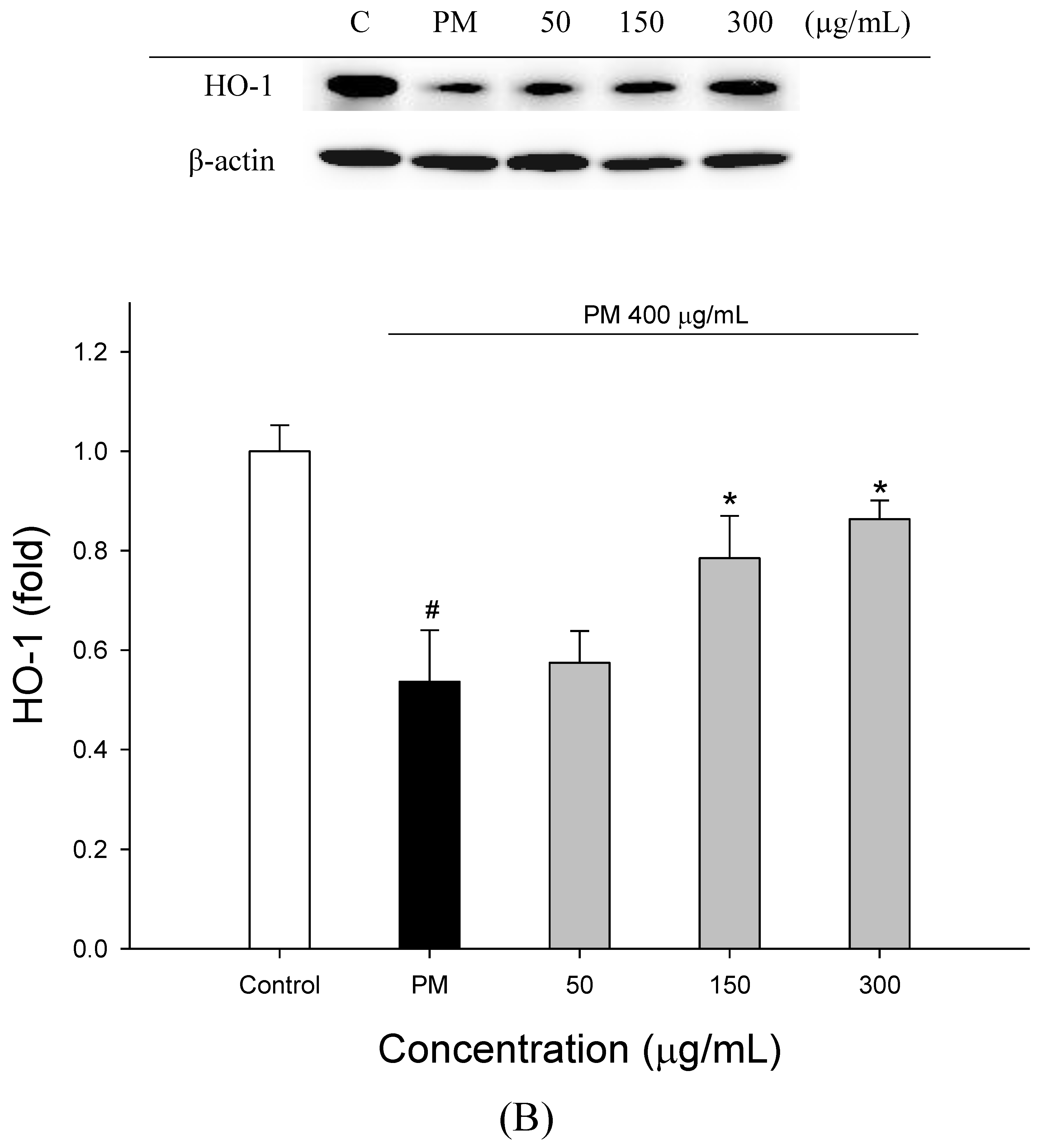 Molecules 27 00253 g003b