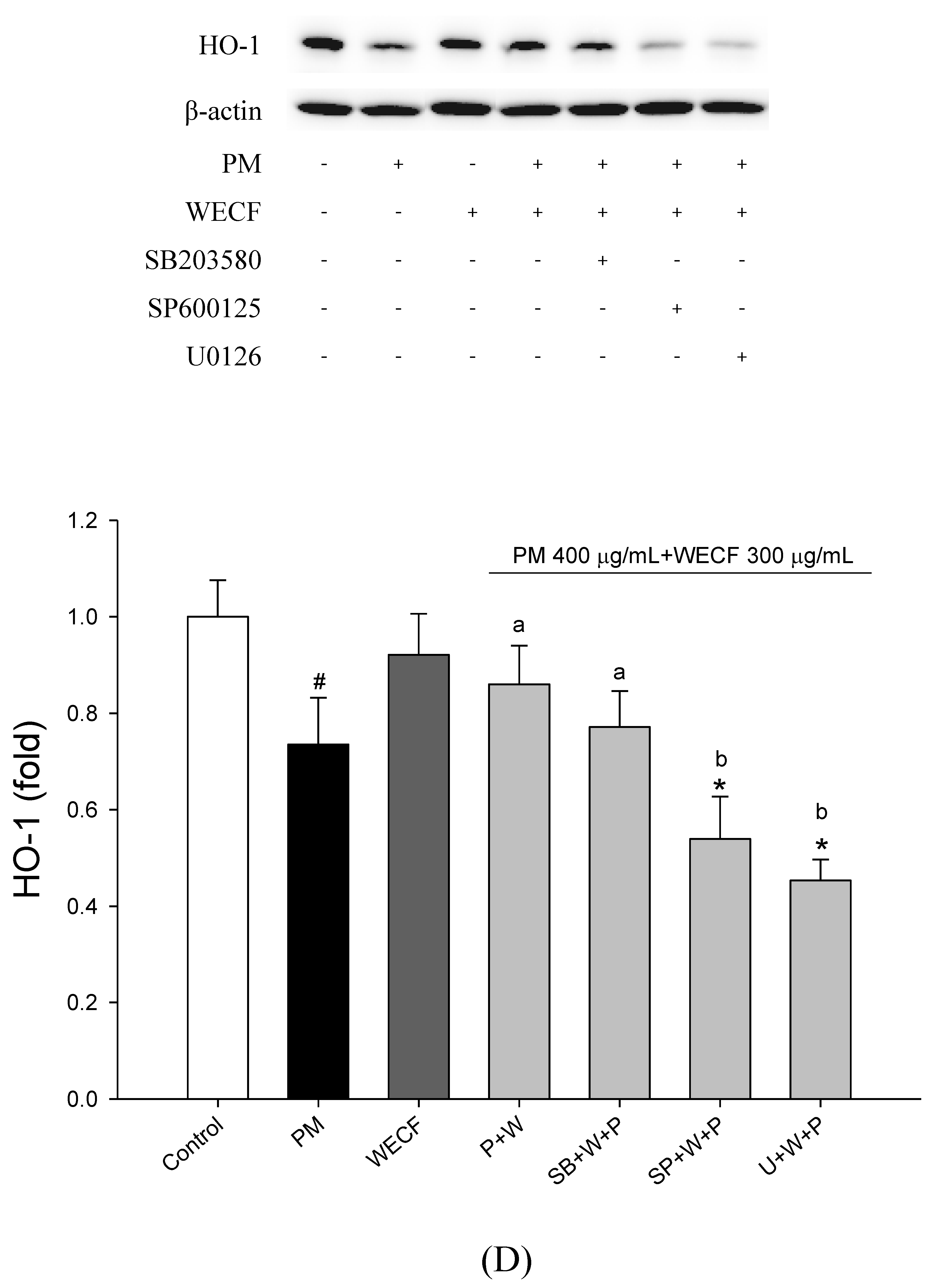 Molecules 27 00253 g003d