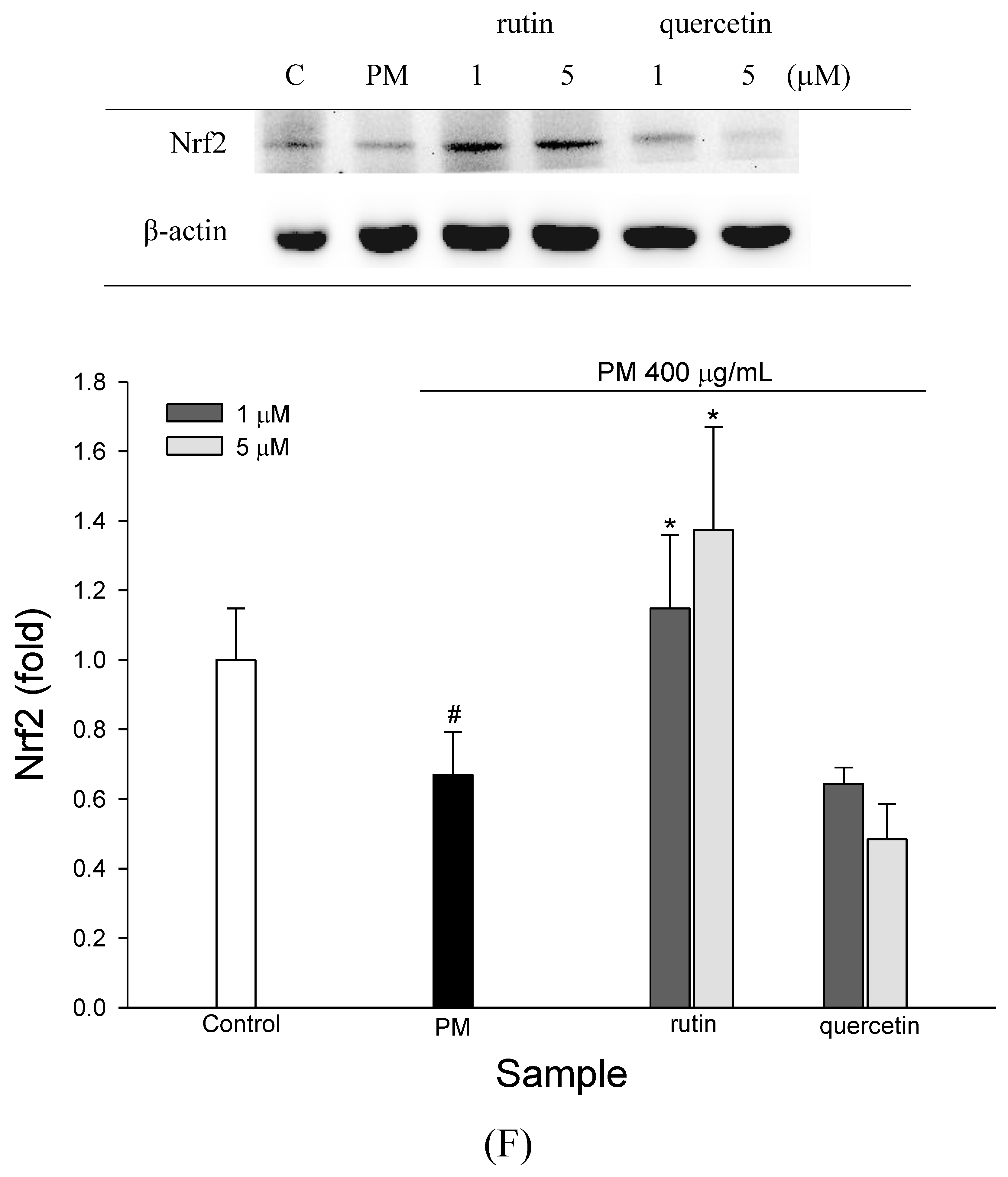 Molecules 27 00253 g005f