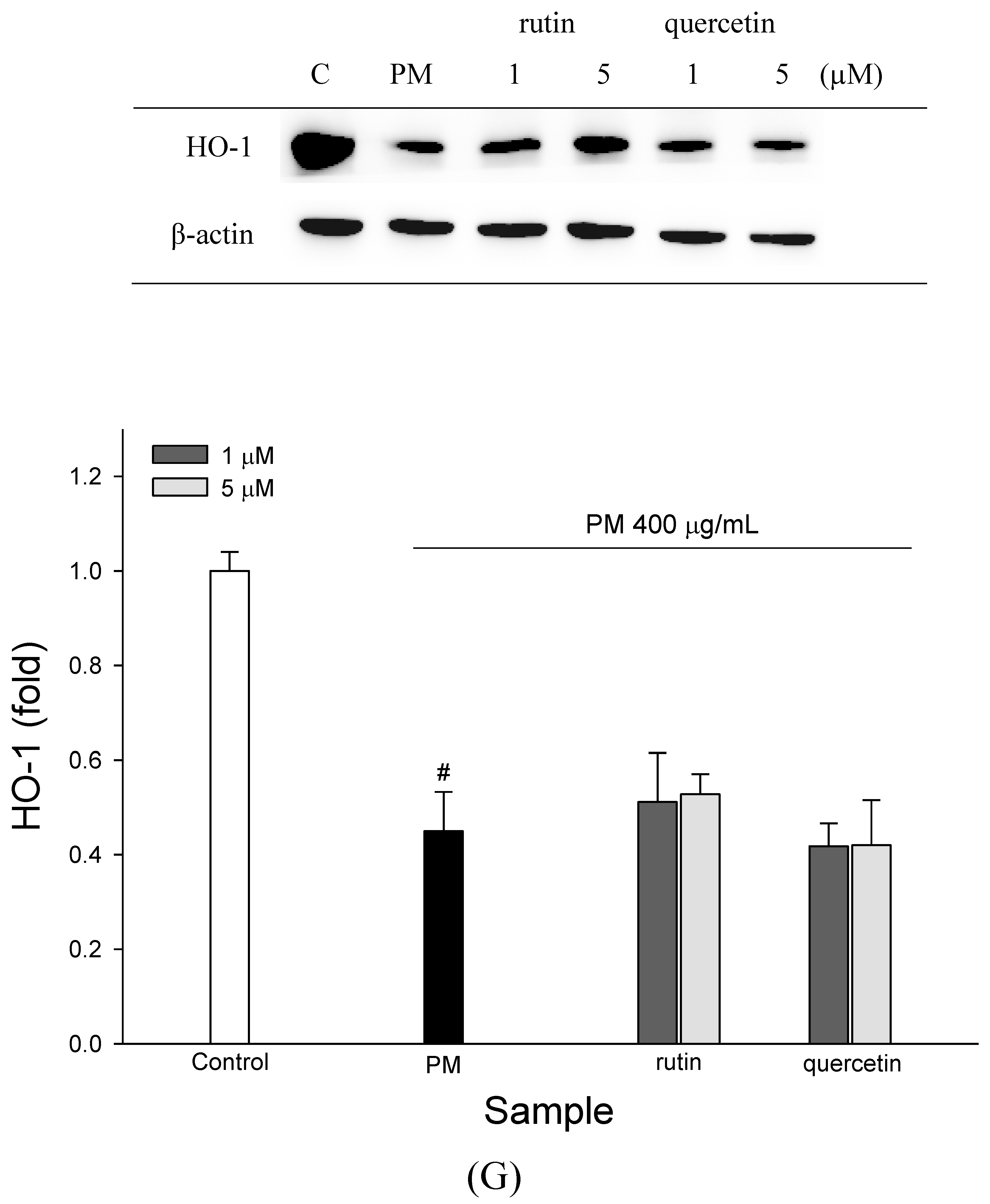 Molecules 27 00253 g005g