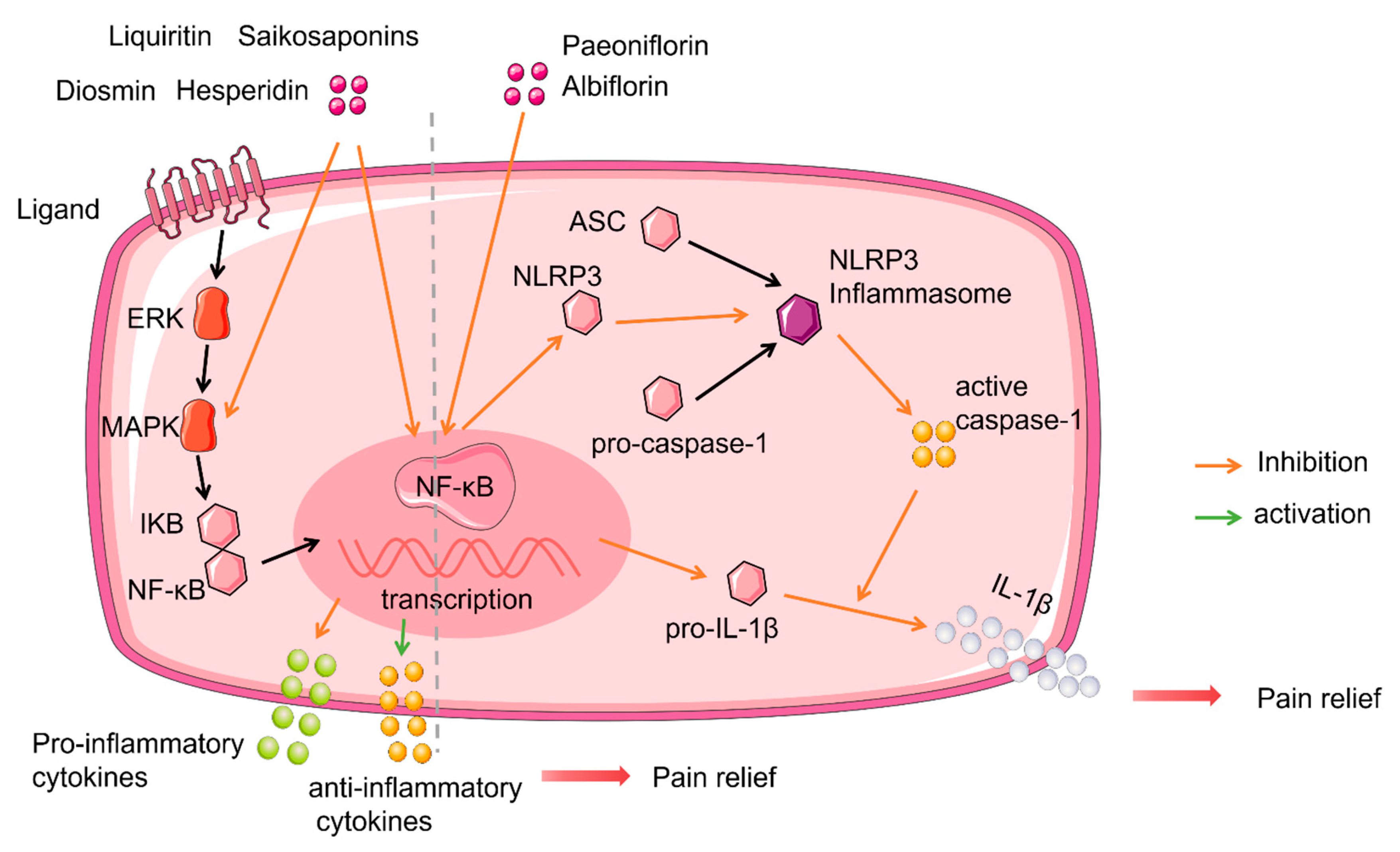 Molecules 27 00255 g001