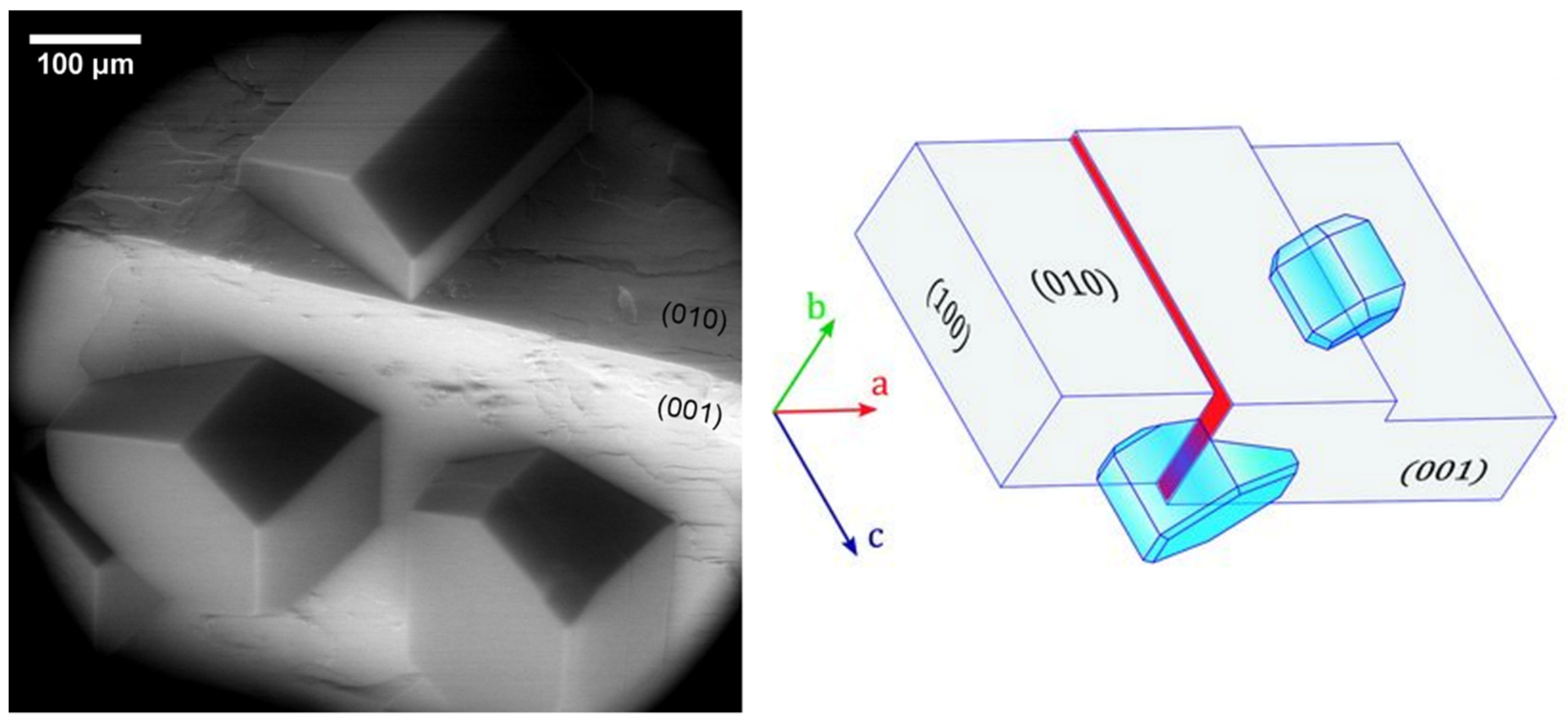 Molecules 27 00258 g004
