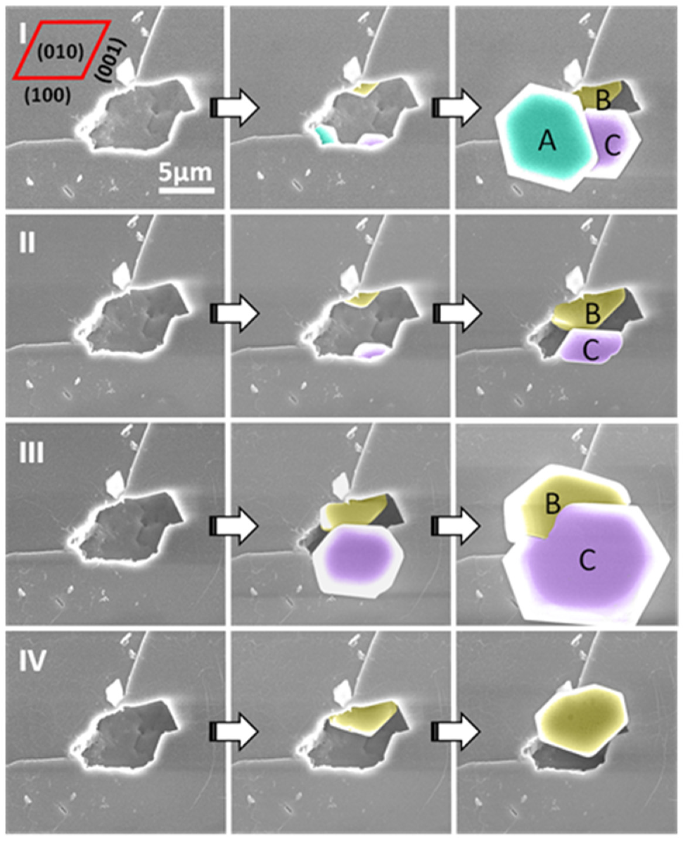 Molecules 27 00258 g006