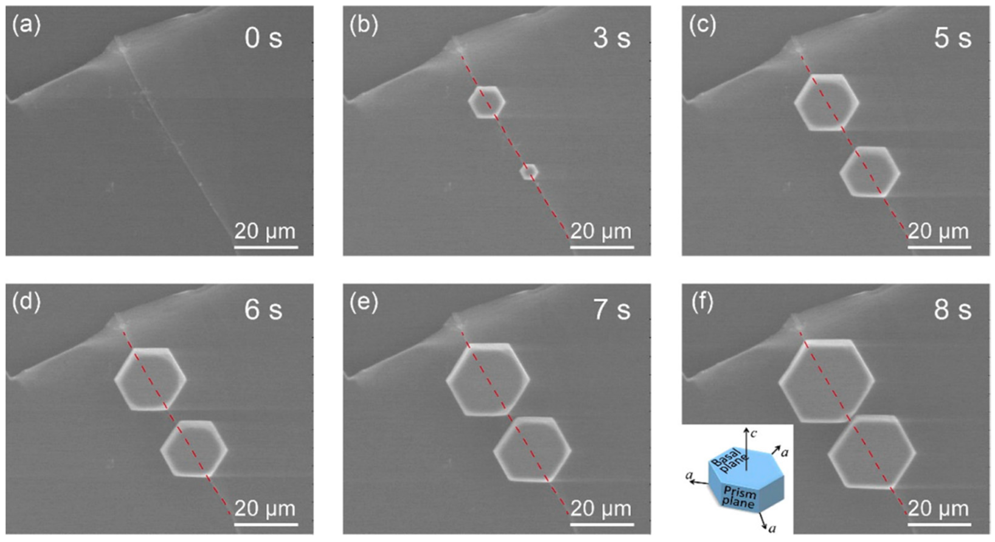 Molecules 27 00258 g007