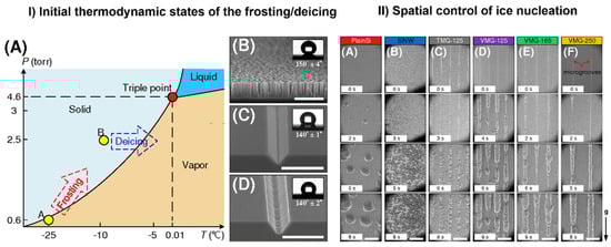 Molecules 27 00258 g008
