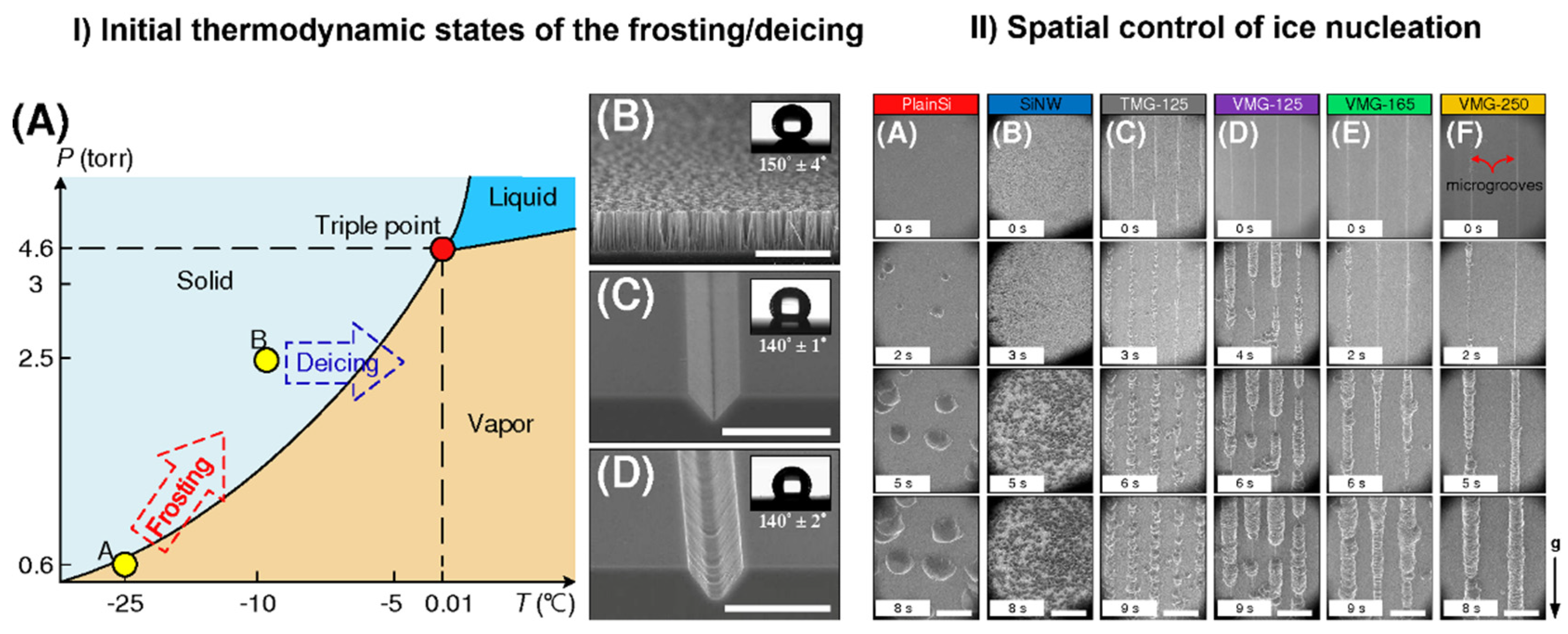 Molecules 27 00258 g008