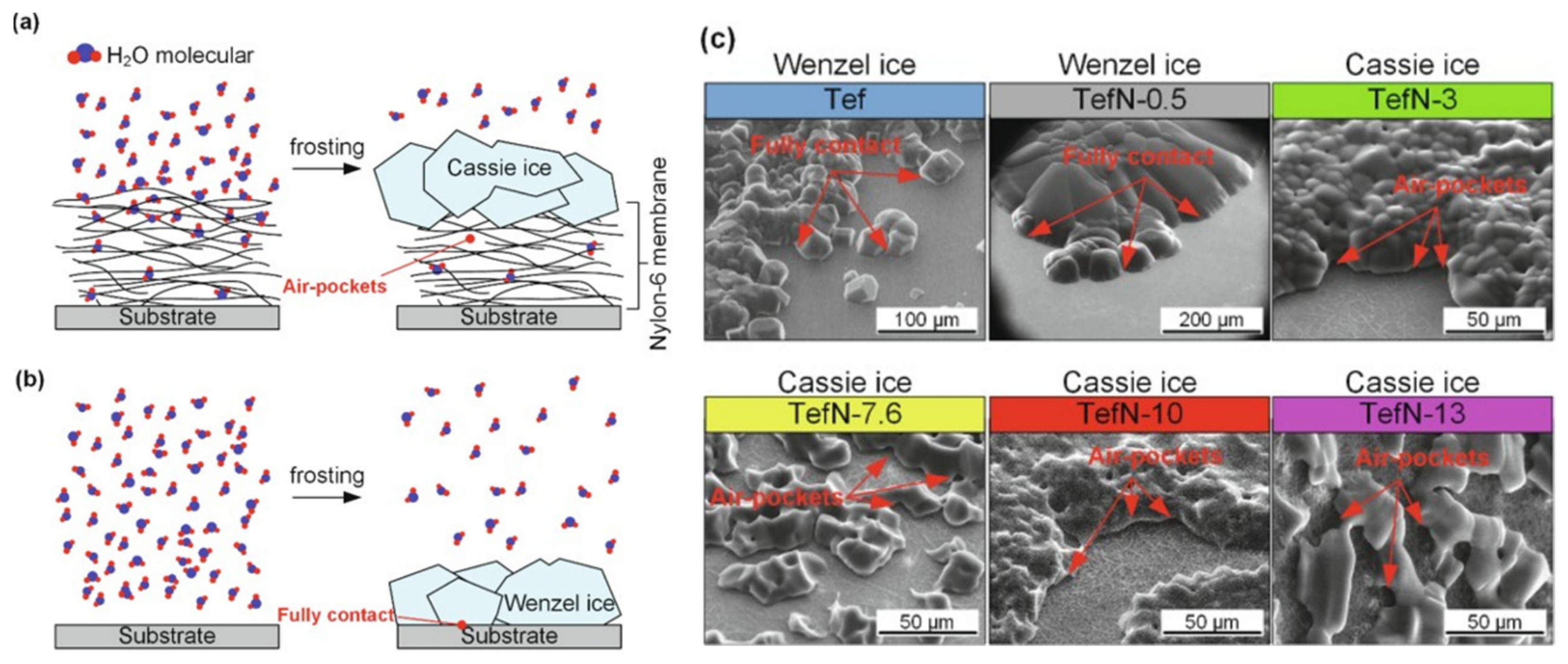 Molecules 27 00258 g009