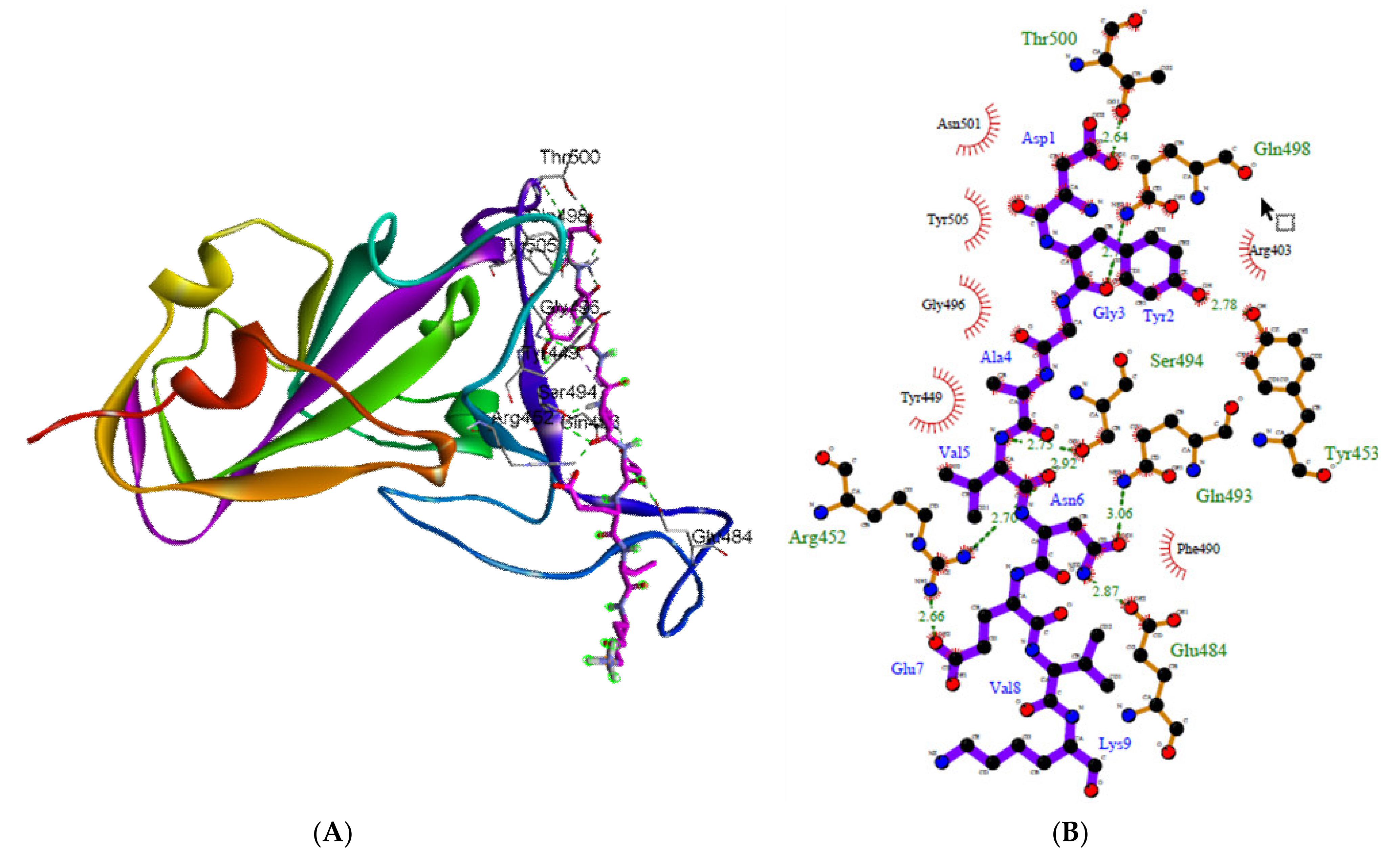Molecules 27 00260 g003