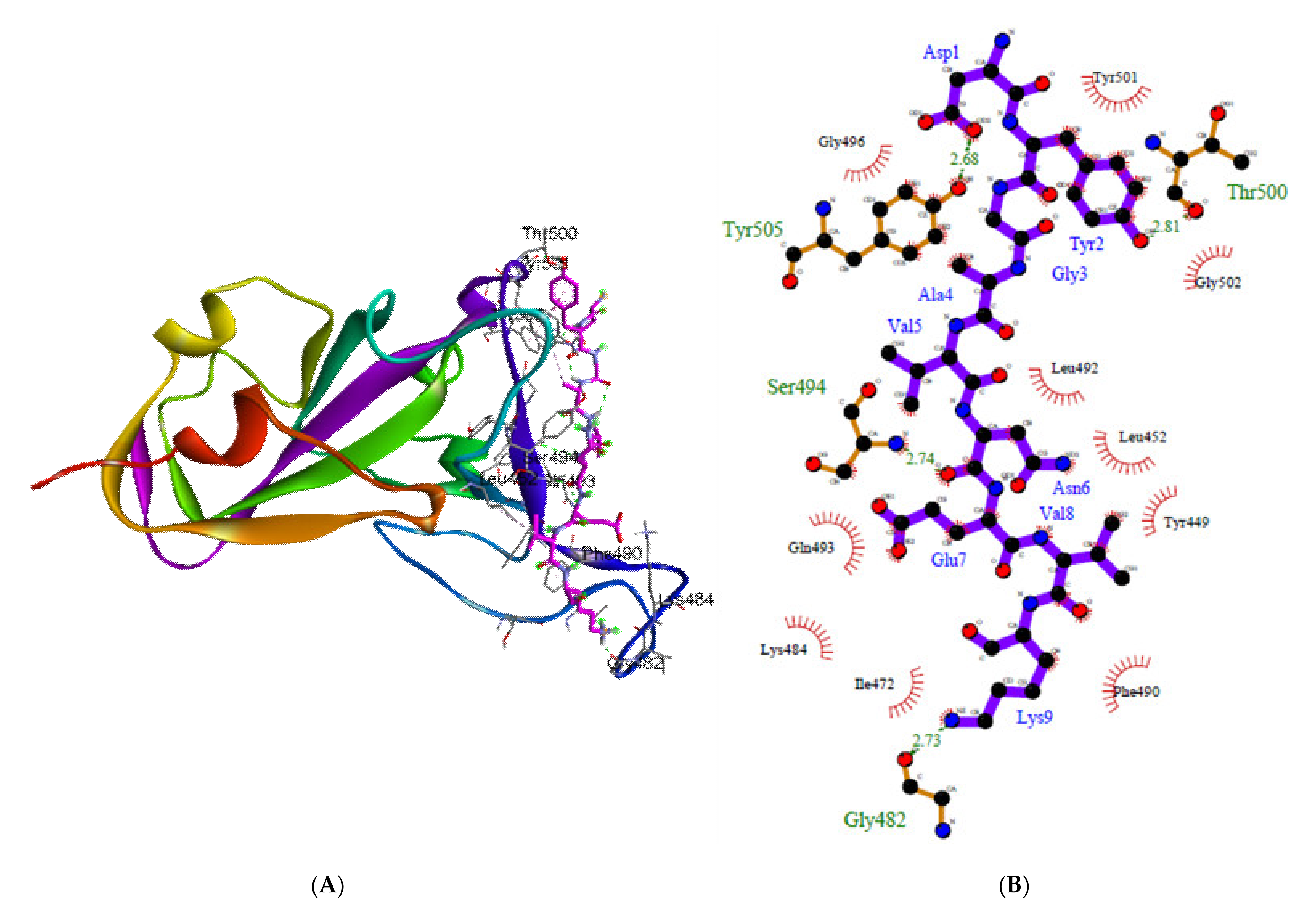 Molecules 27 00260 g004