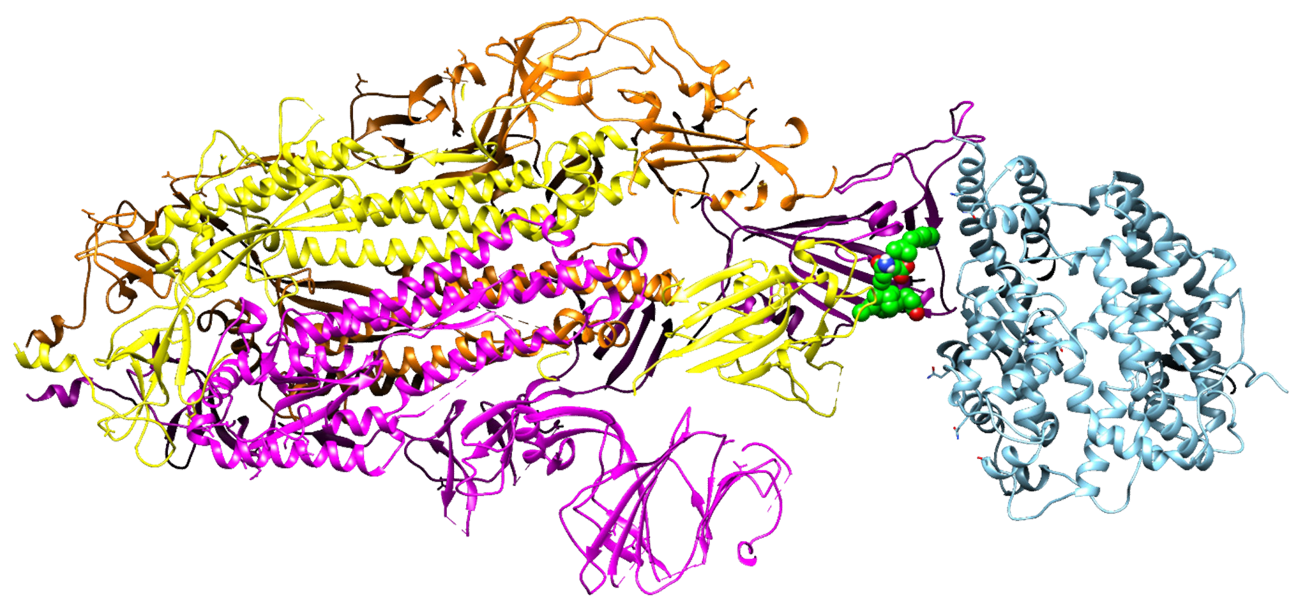 Molecules 27 00260 g005