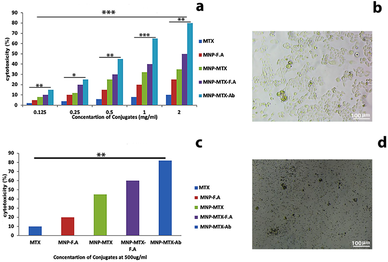 Molecules 27 00261 g006