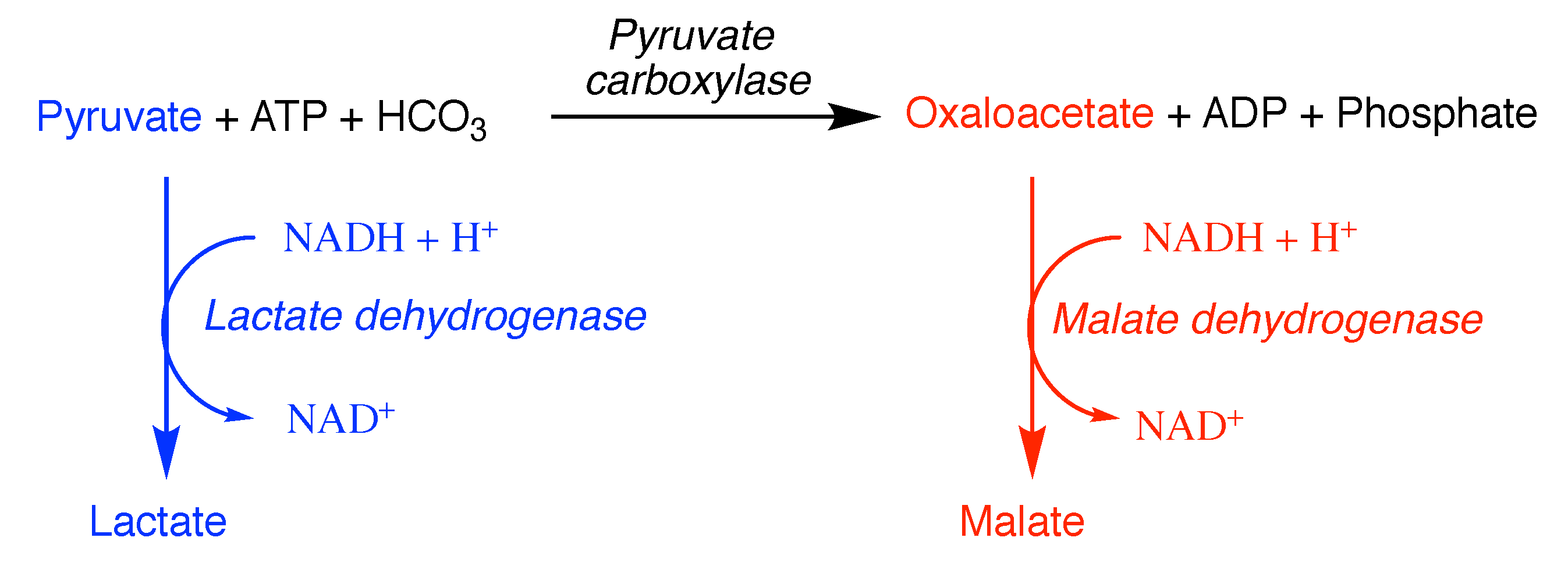 Molecules 27 00263 g003