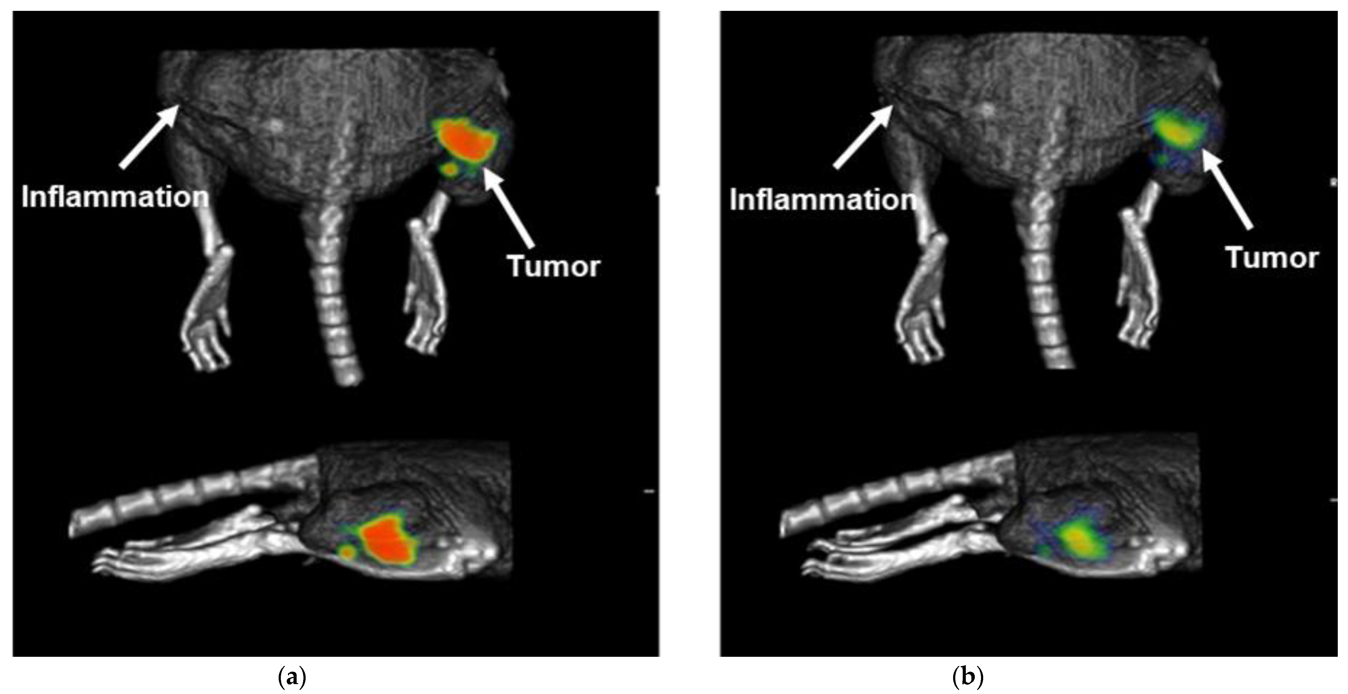 Molecules 27 00264 g007