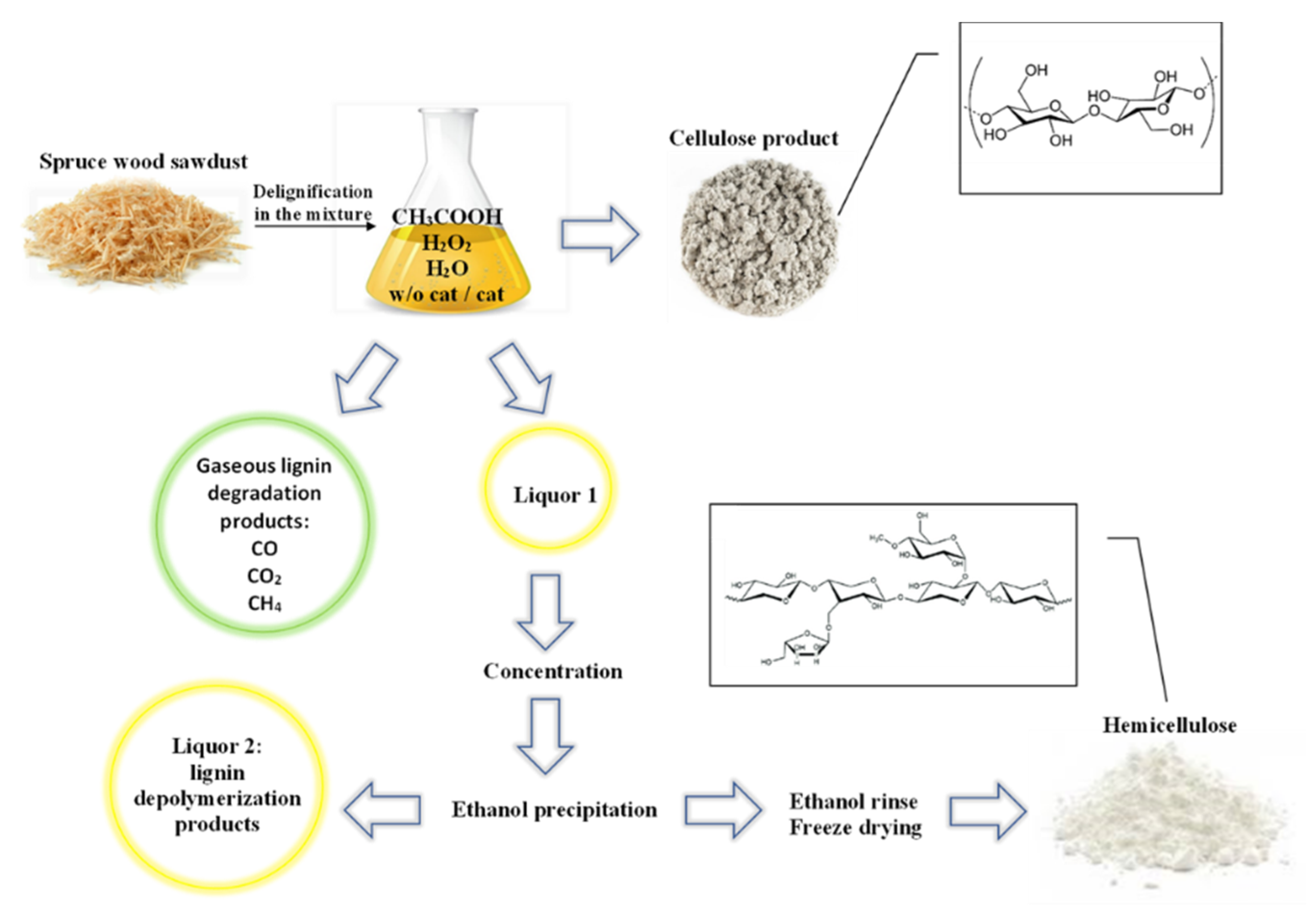 Molecules 27 00266 g006