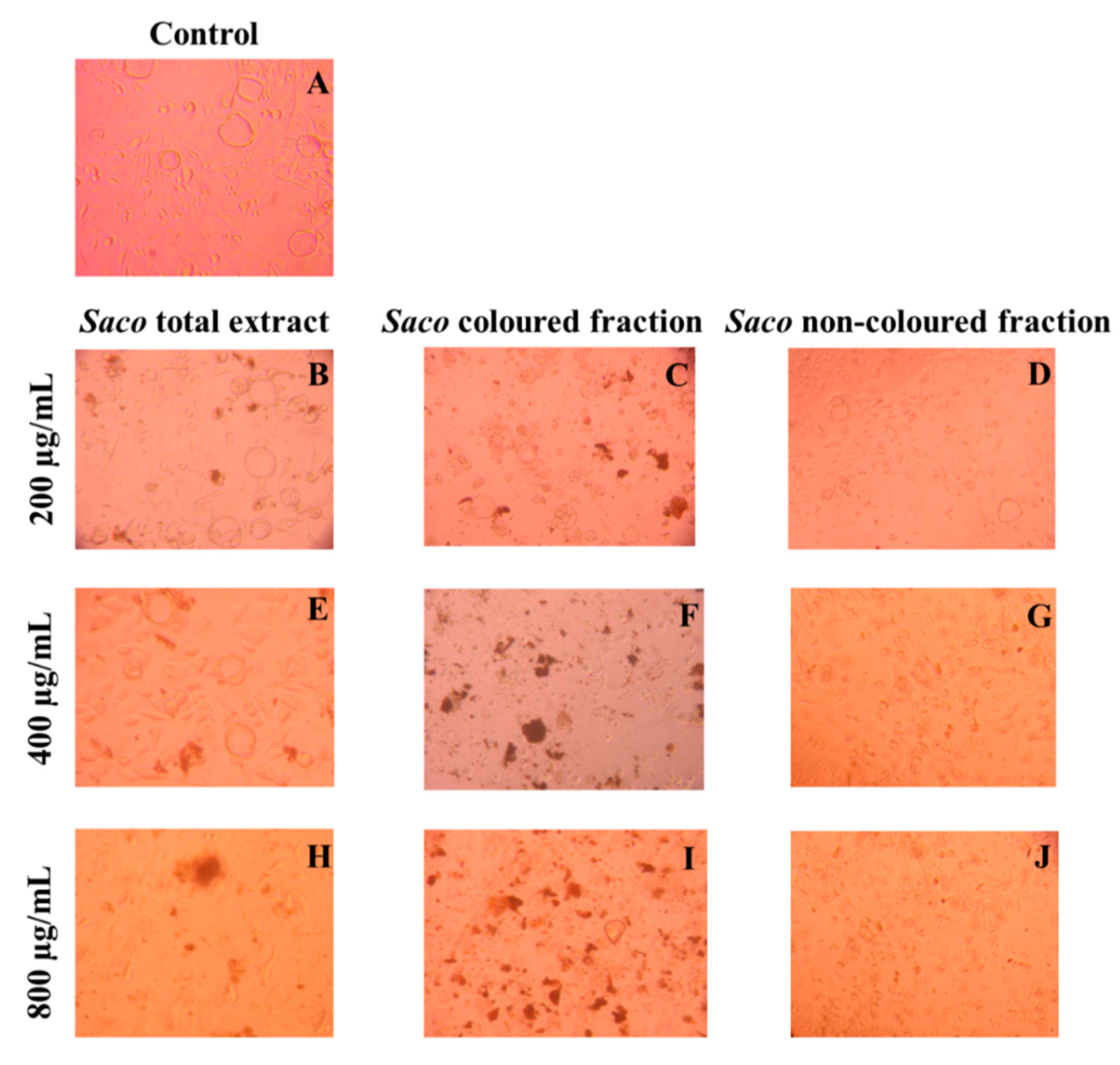 Molecules 27 00268 g004