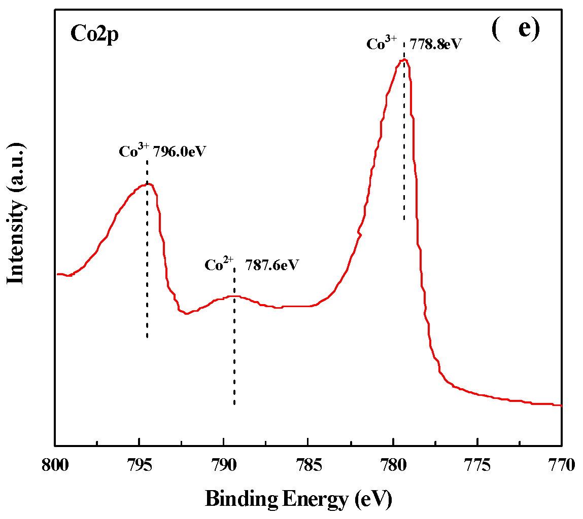 Molecules 27 00270 g005b Molecules 27 00270 g005b