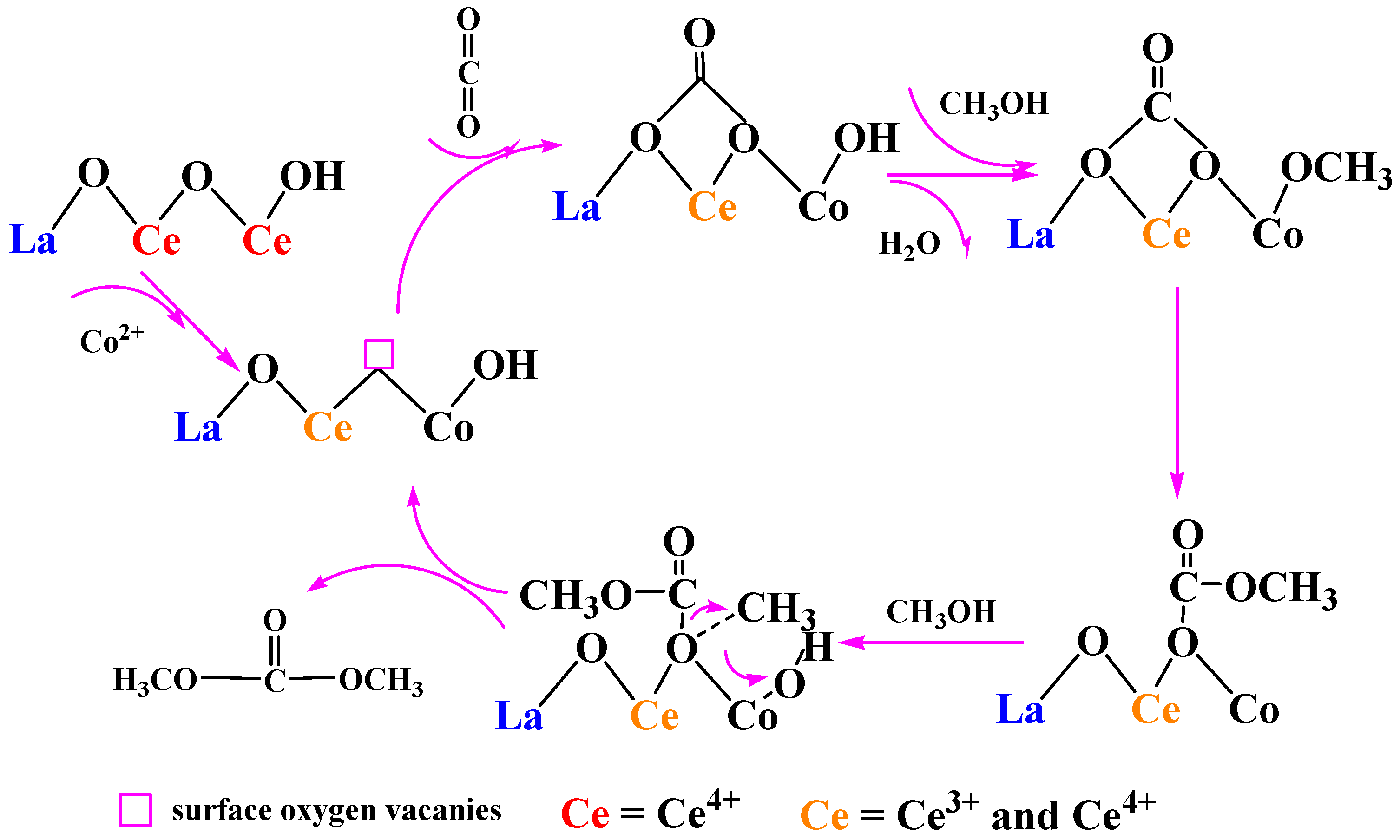 Molecules 27 00270 g007 Molecules 27 00270 g007