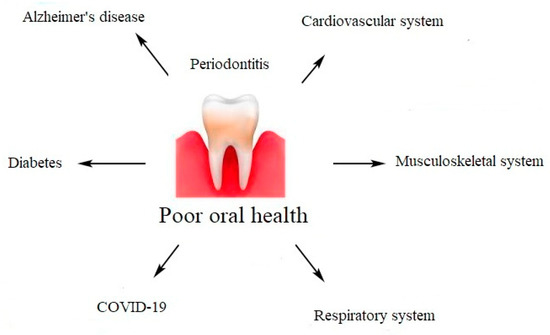 Molecules 27 00271 g002