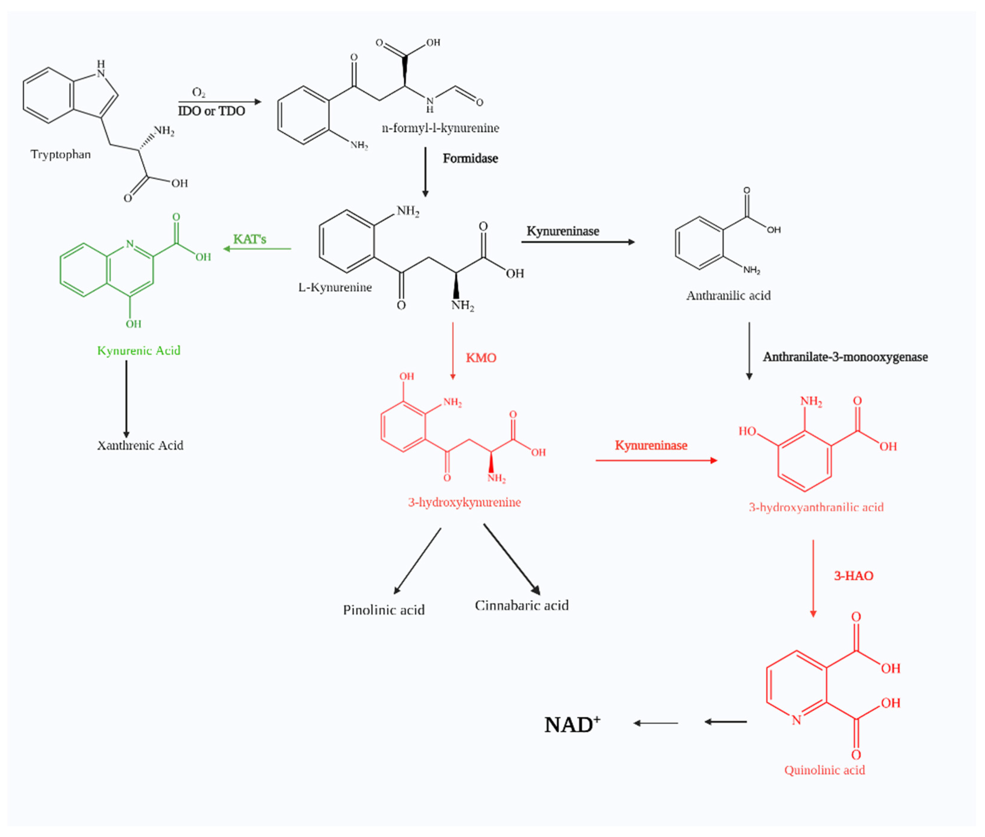 Molecules 27 00273 g001