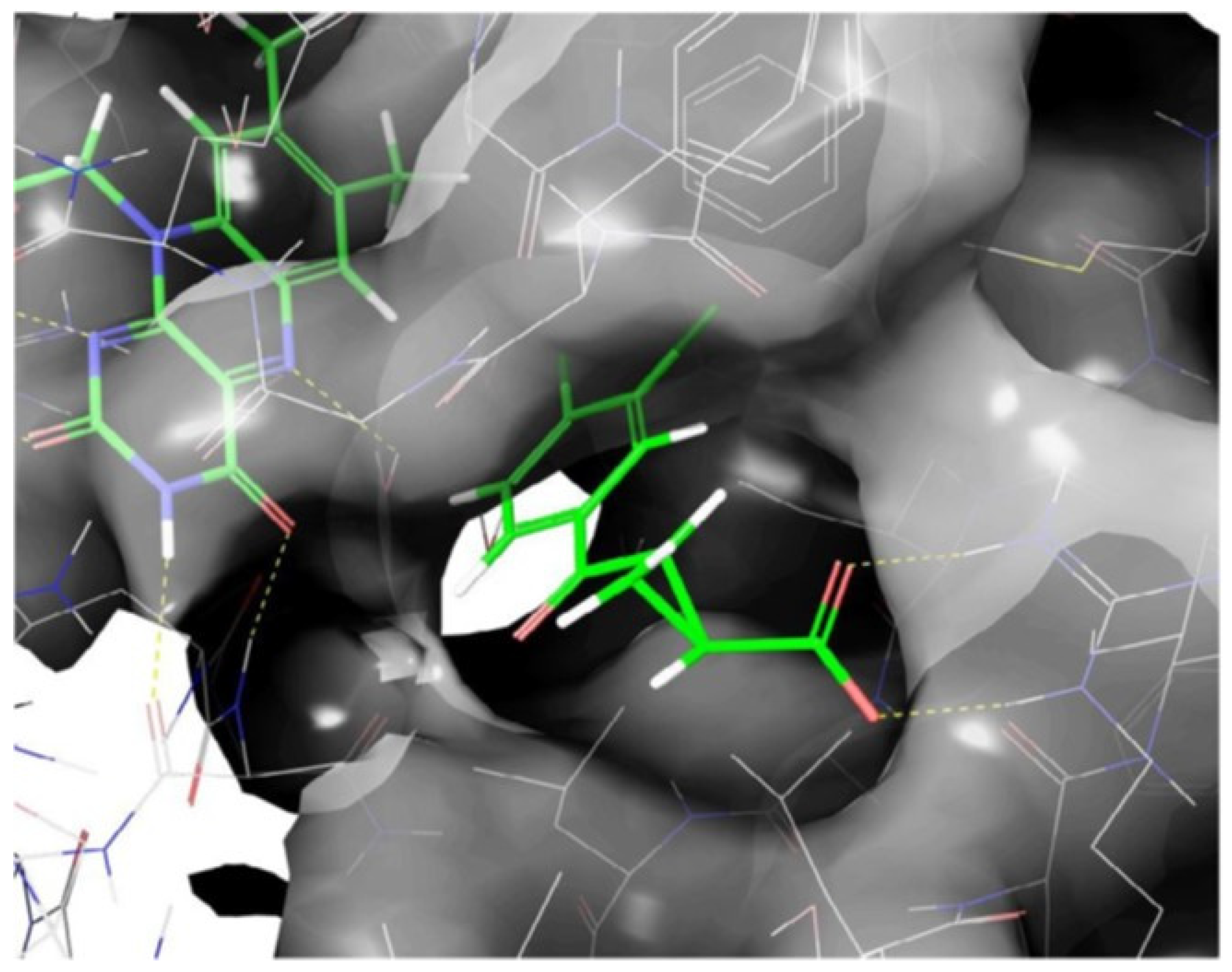 Molecules 27 00273 g010