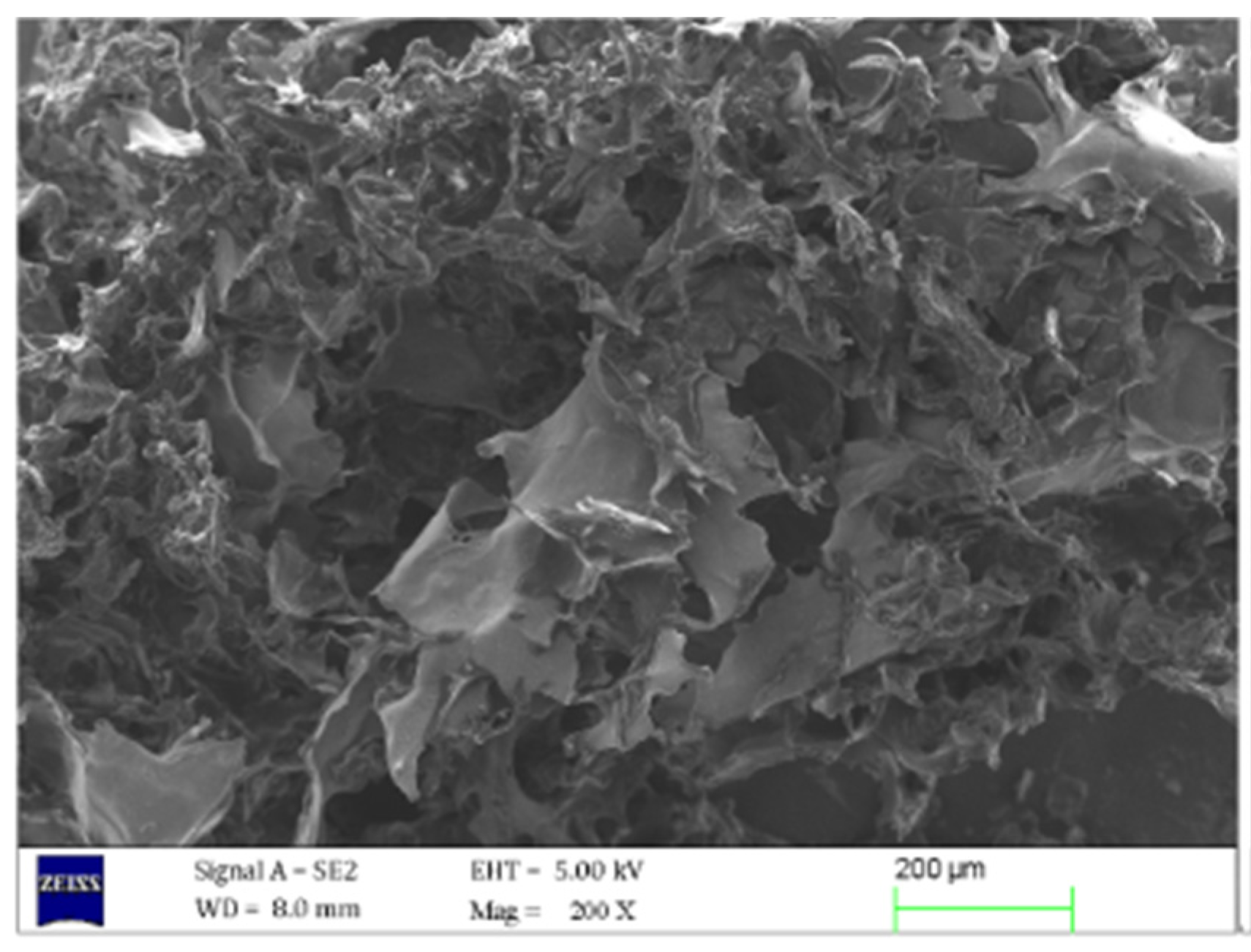 Molecules 27 00281 g005 Molecules 27 00281 g005