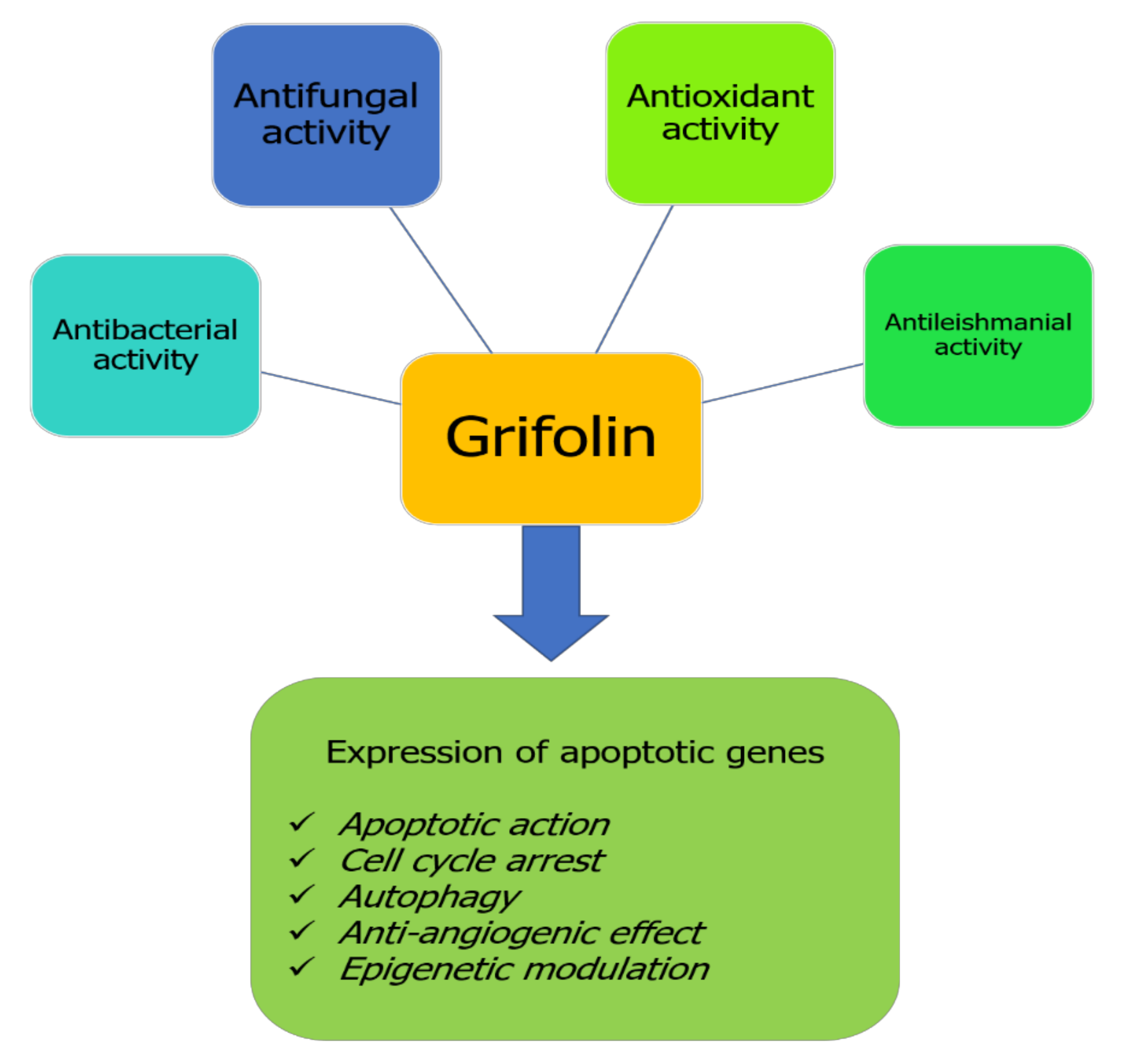 Molecules 27 00284 g002
