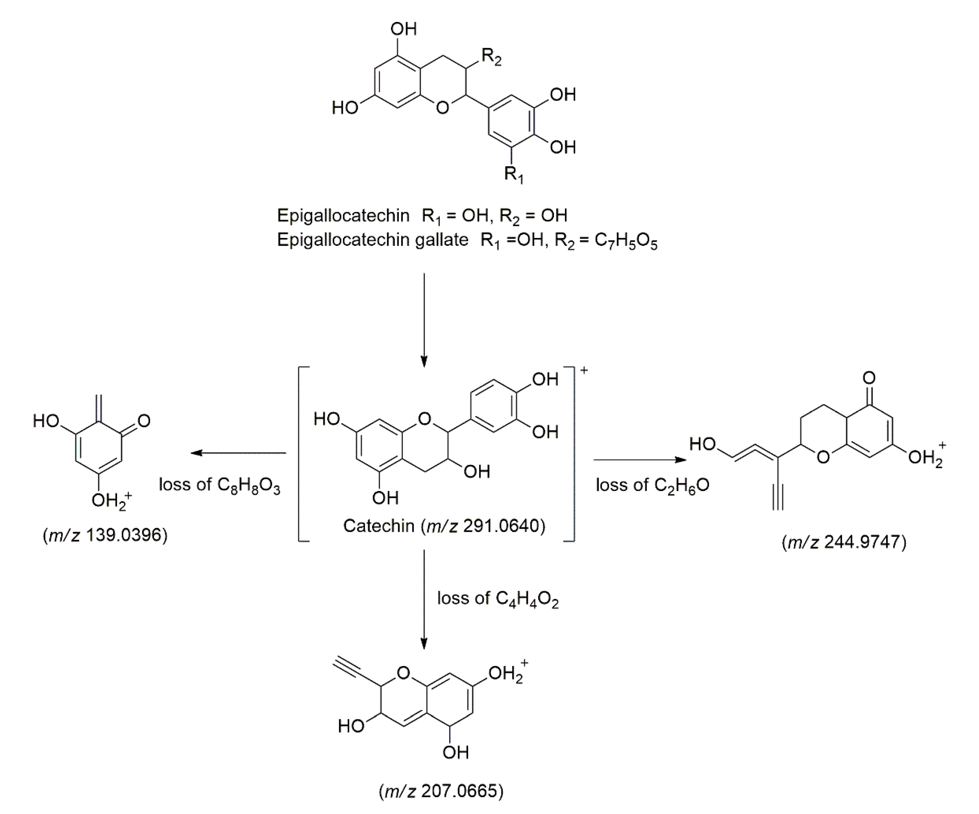 Molecules 27 00287 g002