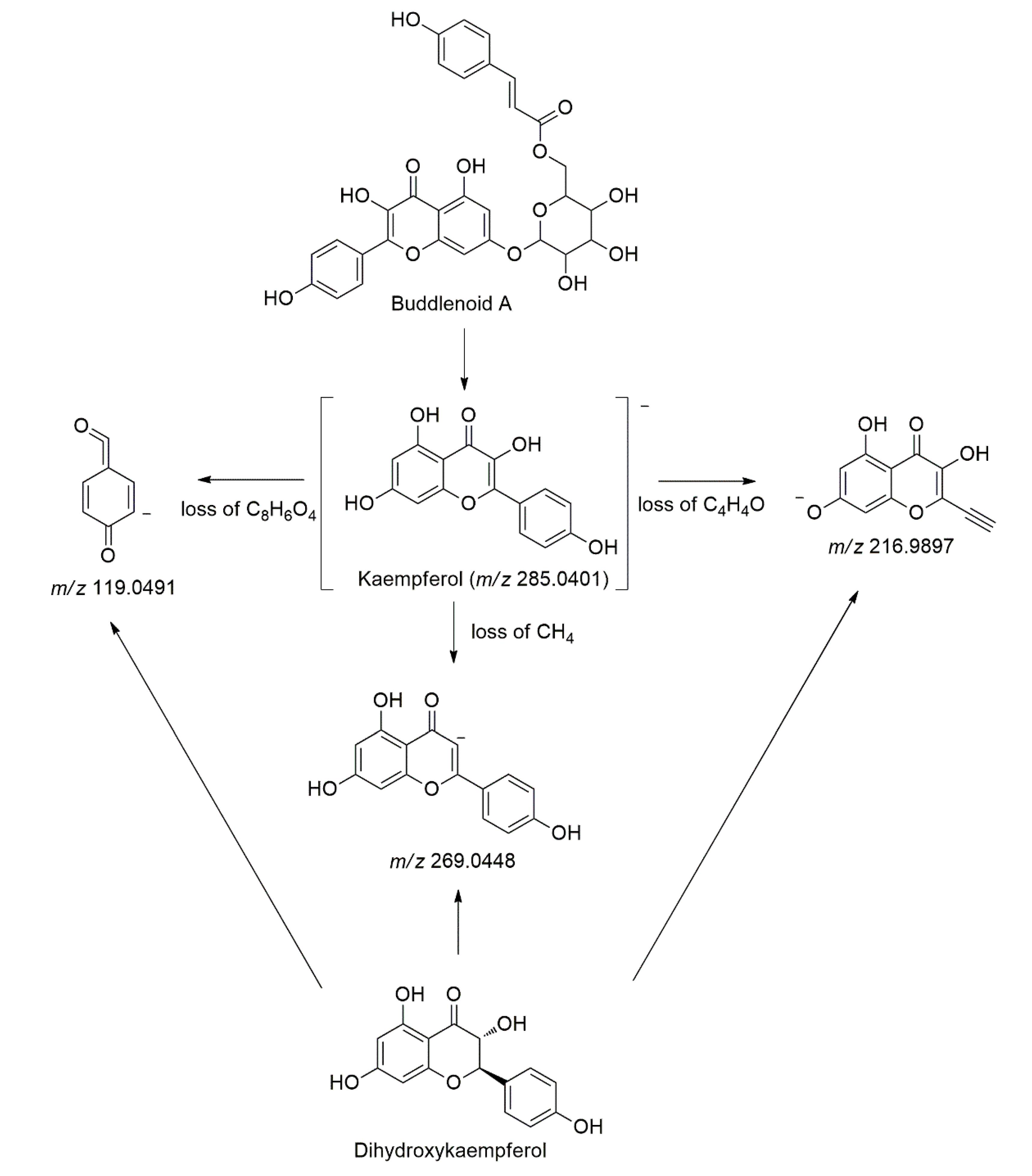 Molecules 27 00287 g003