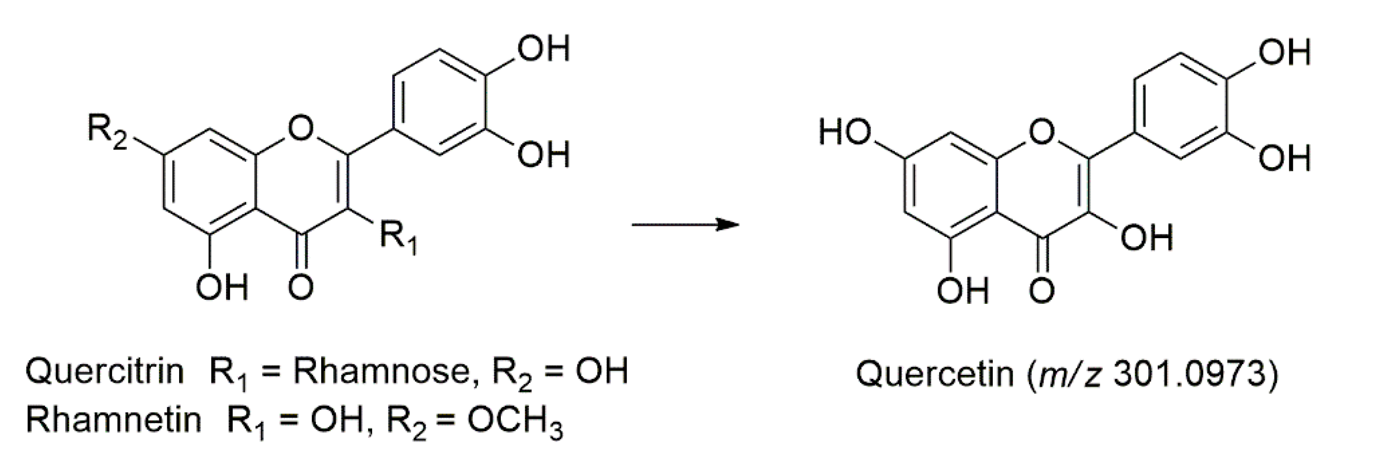 Molecules 27 00287 g004