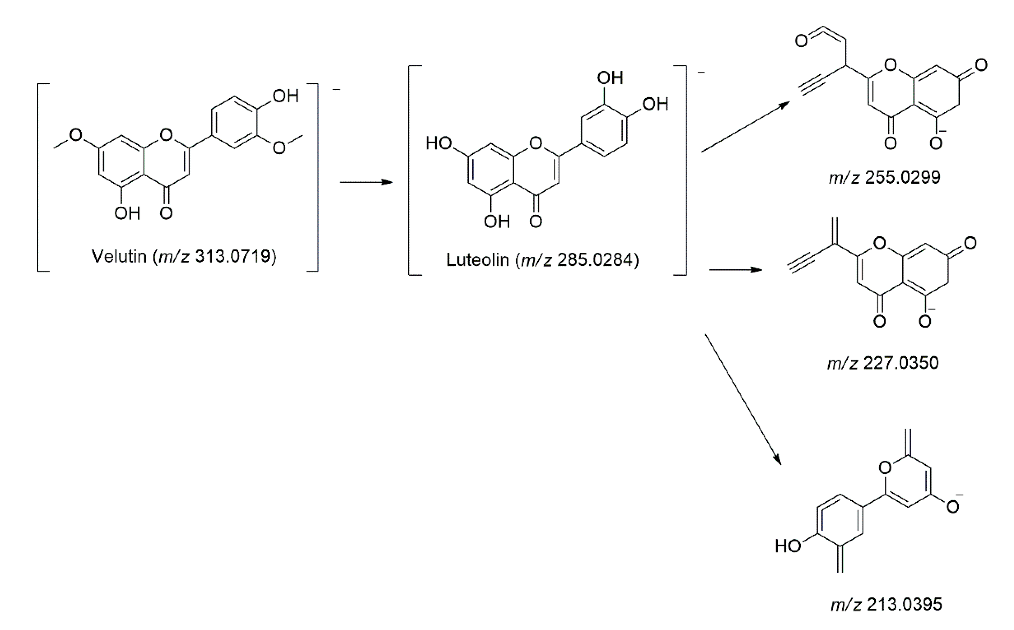 Molecules 27 00287 g006