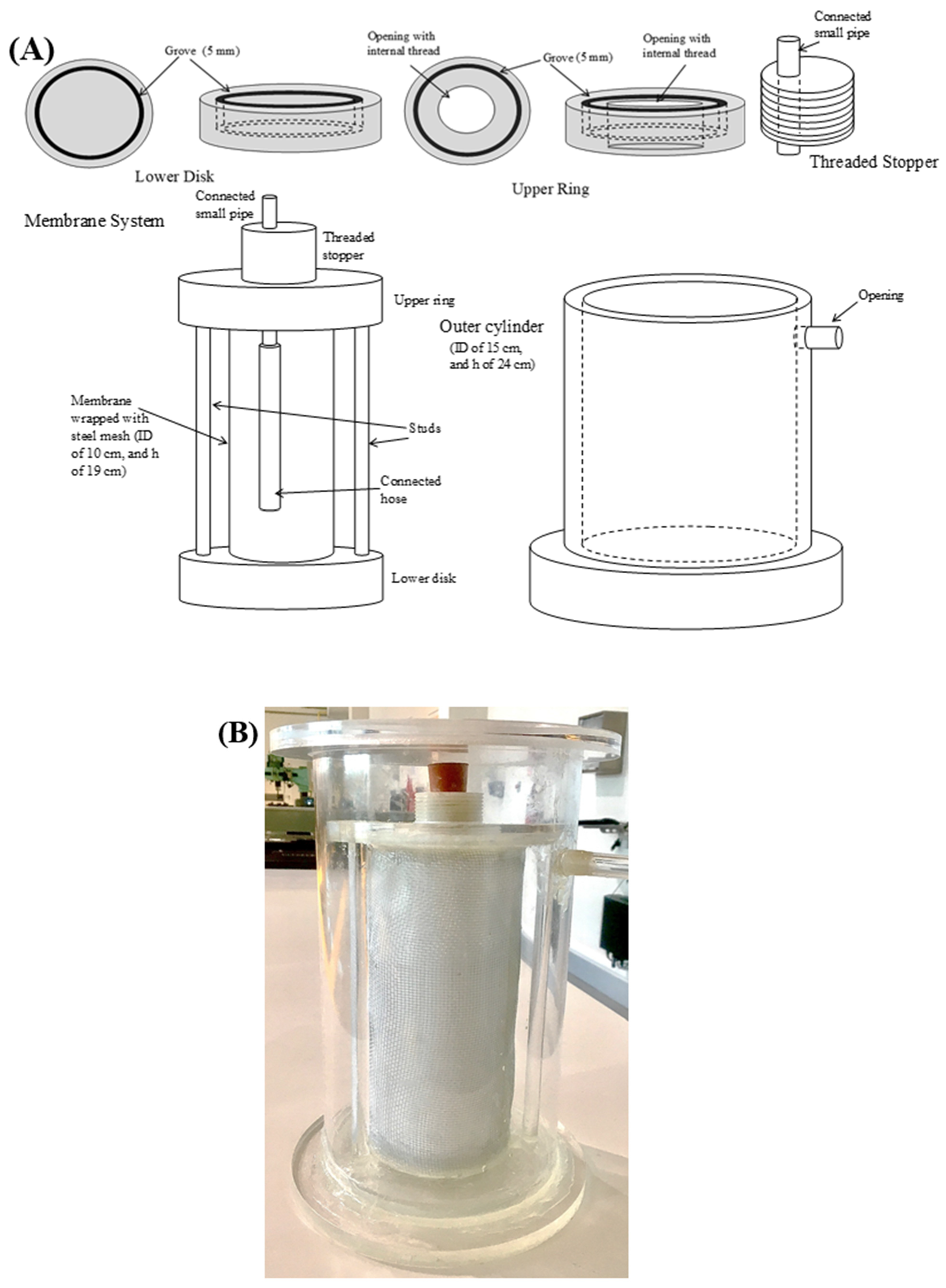 Molecules 27 00288 g006