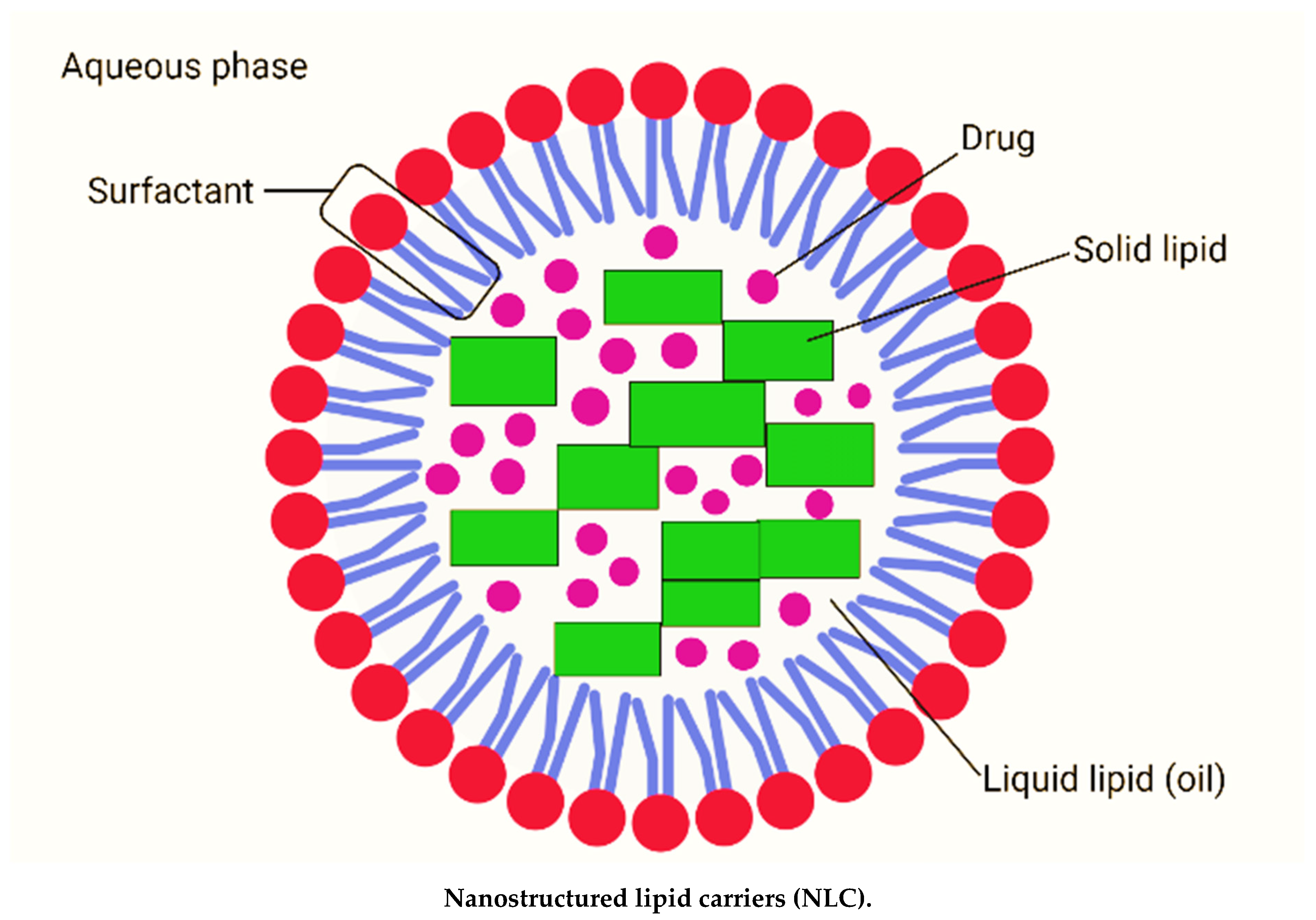 Molecules 27 00289 g001