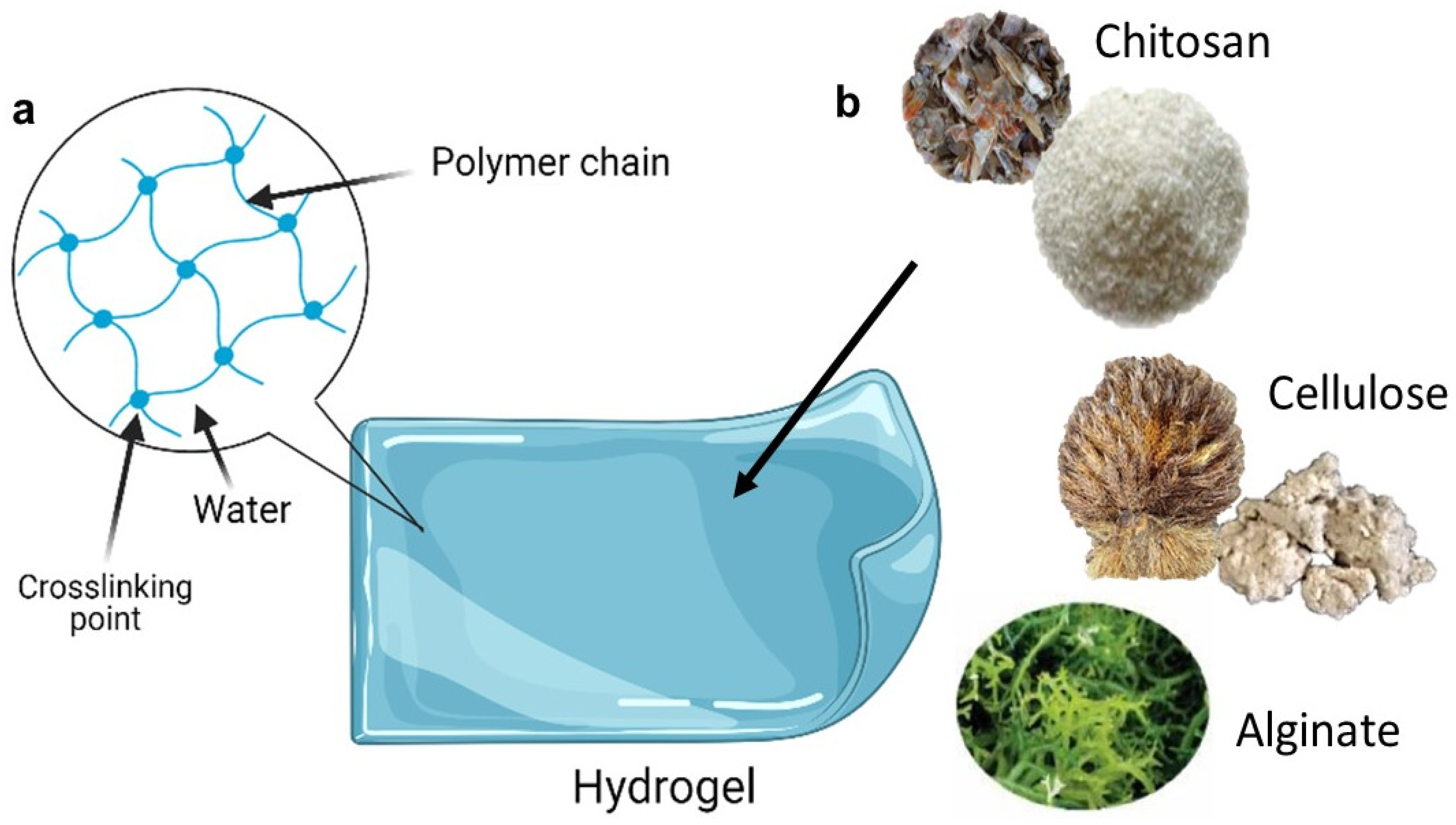 Molecules 27 00289 g002