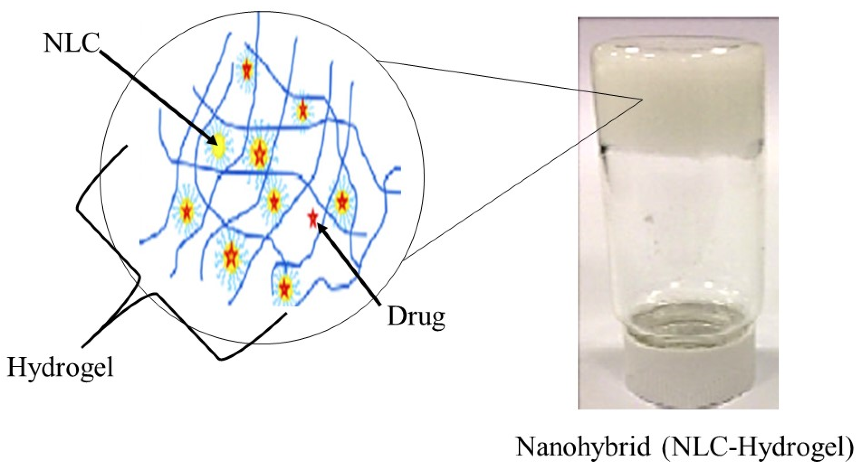Molecules 27 00289 g003