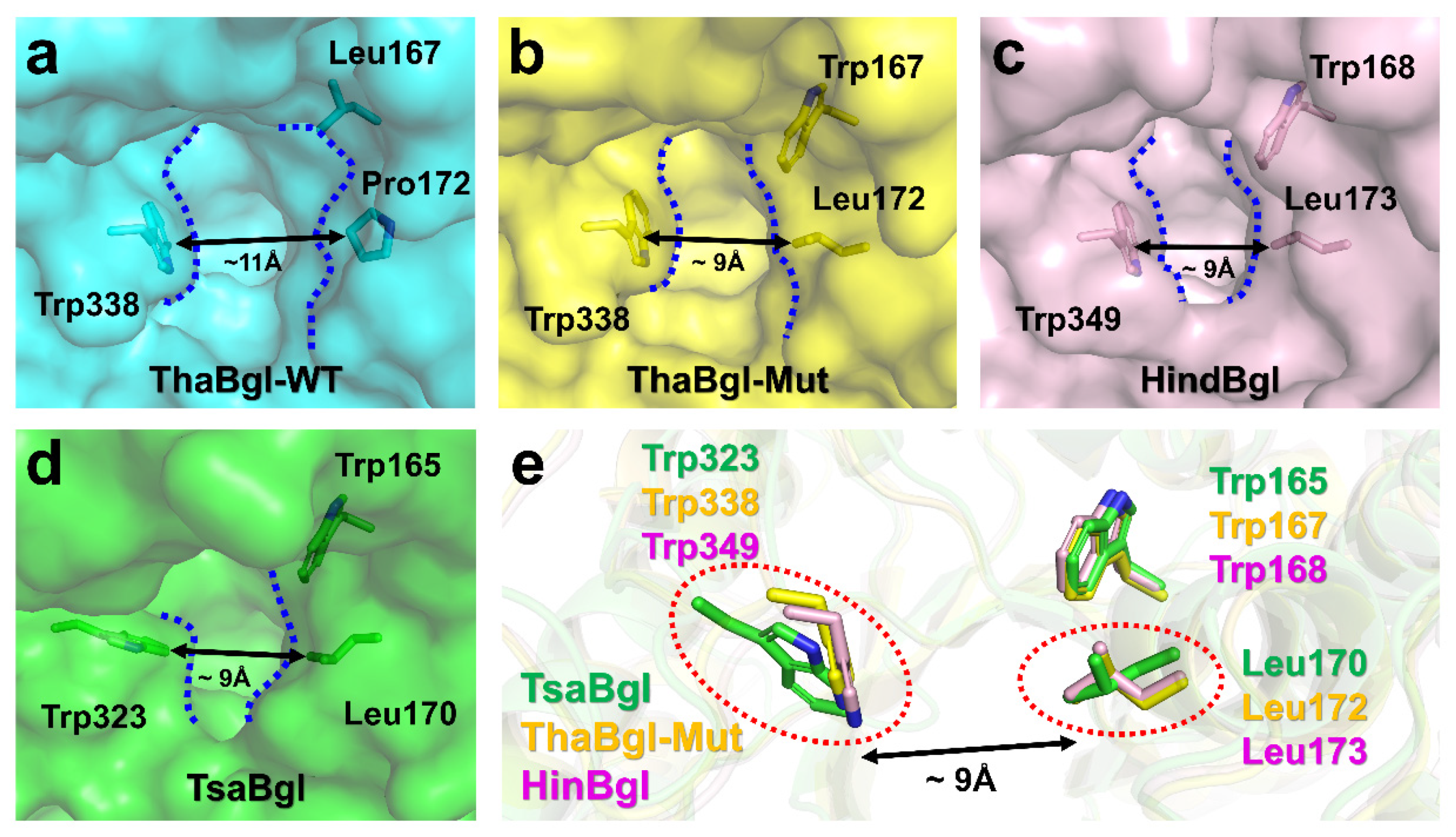 Molecules 27 00290 g005 Molecules 27 00290 g005