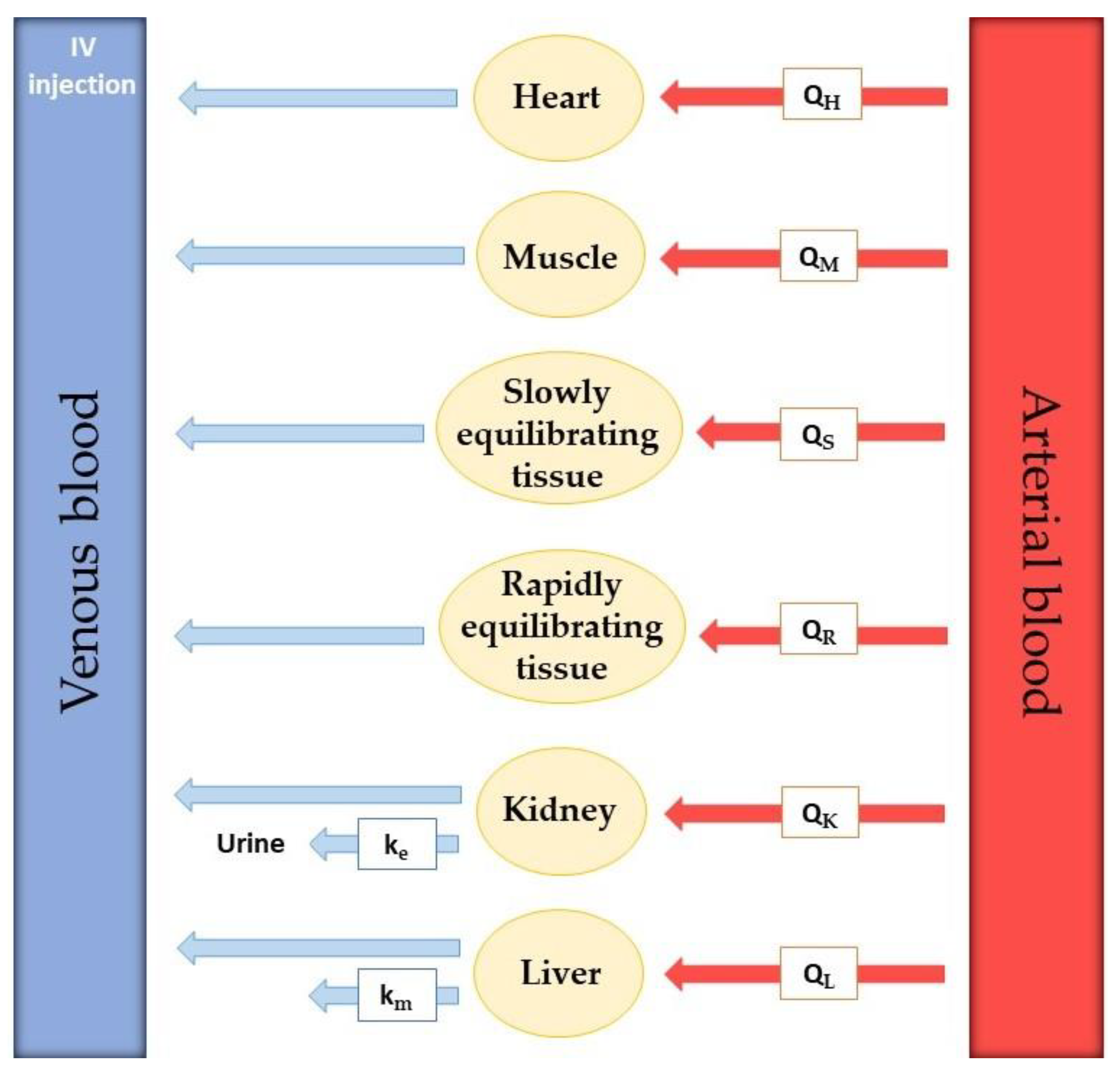 Molecules 27 00291 g004