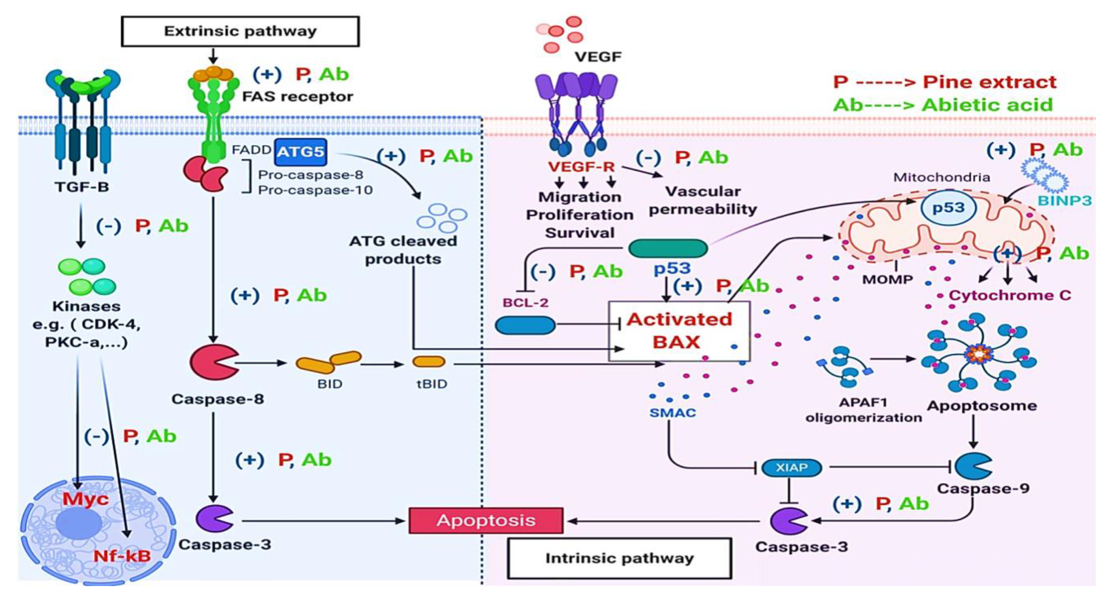Molecules 27 00293 g004