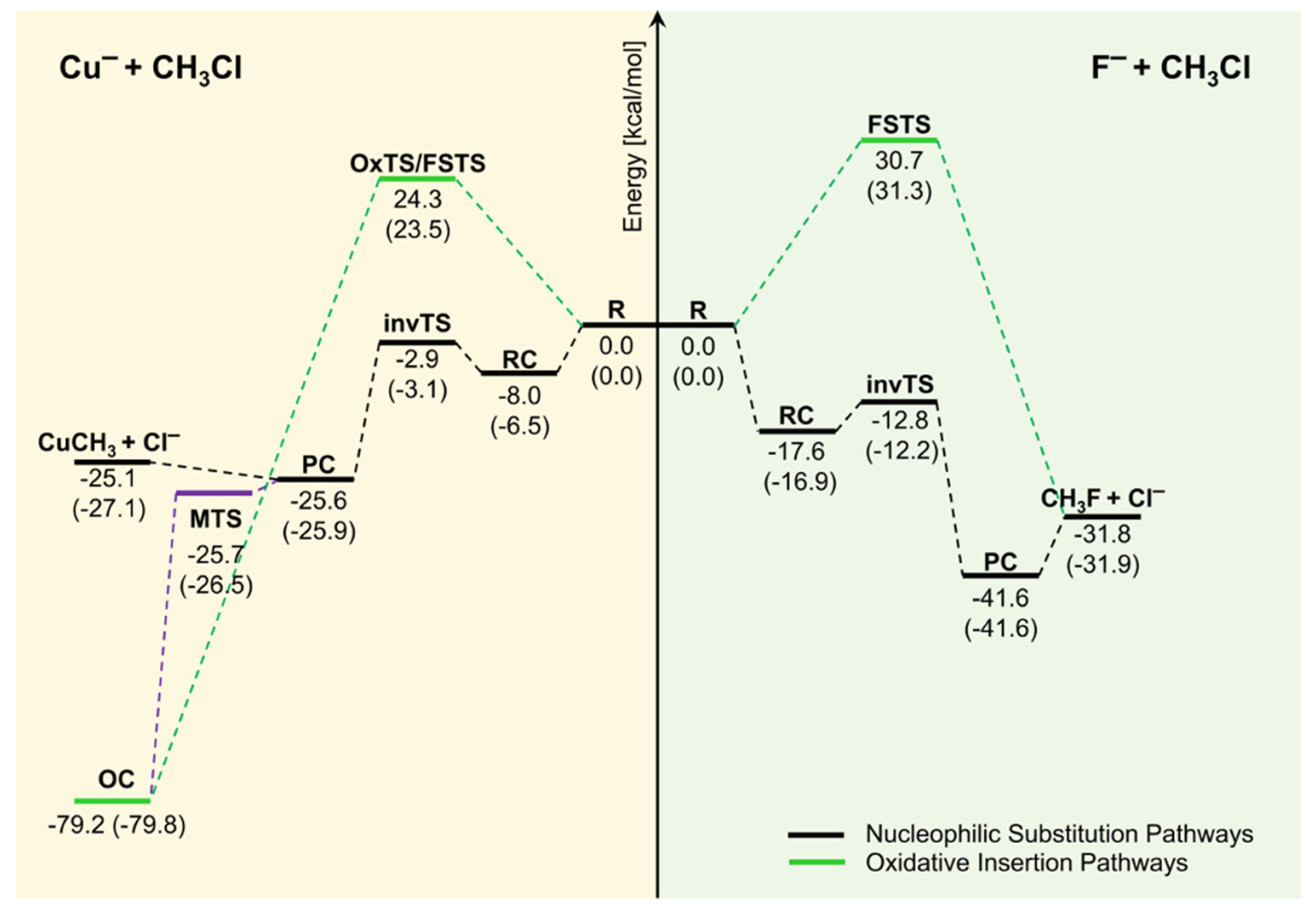 Molecules 27 00307 g005