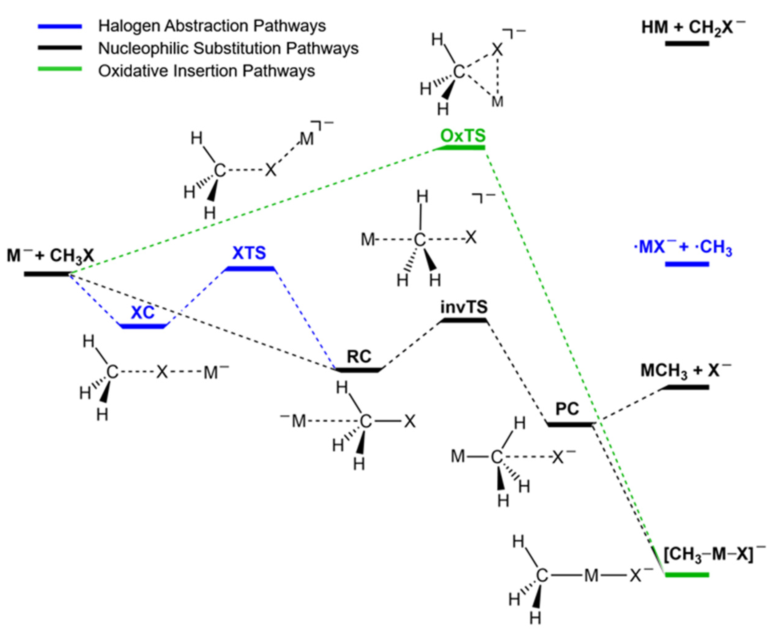 Molecules 27 00307 sch001