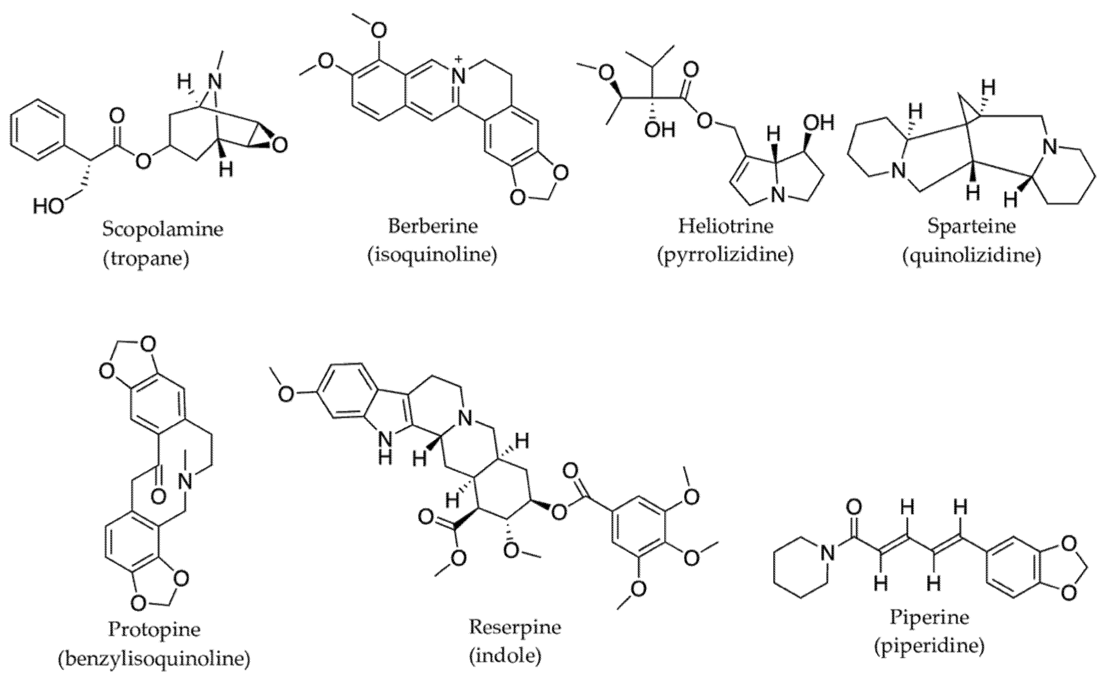 Molecules 27 00313 g003